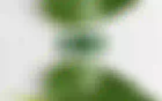 Background image for: Reducing a website's carbon footprint from a D grade to an A
