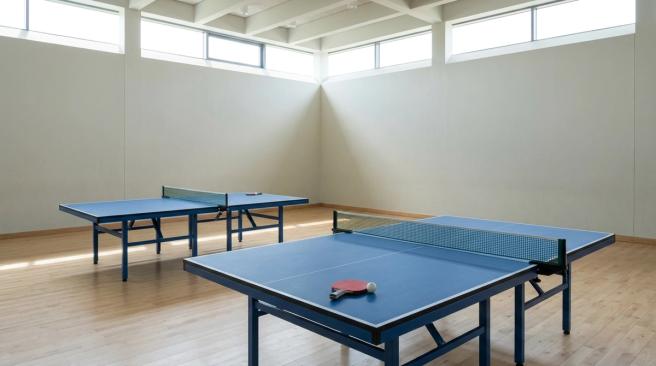 Dve modri mizi za namizni tenis z mrežama v svetli športni dvorani, na bližnji leži lopar z žogico. NADOMESTNA SLIKA — prosimo, zamenjajte jo s fotografijo z vadbe v Žireh.