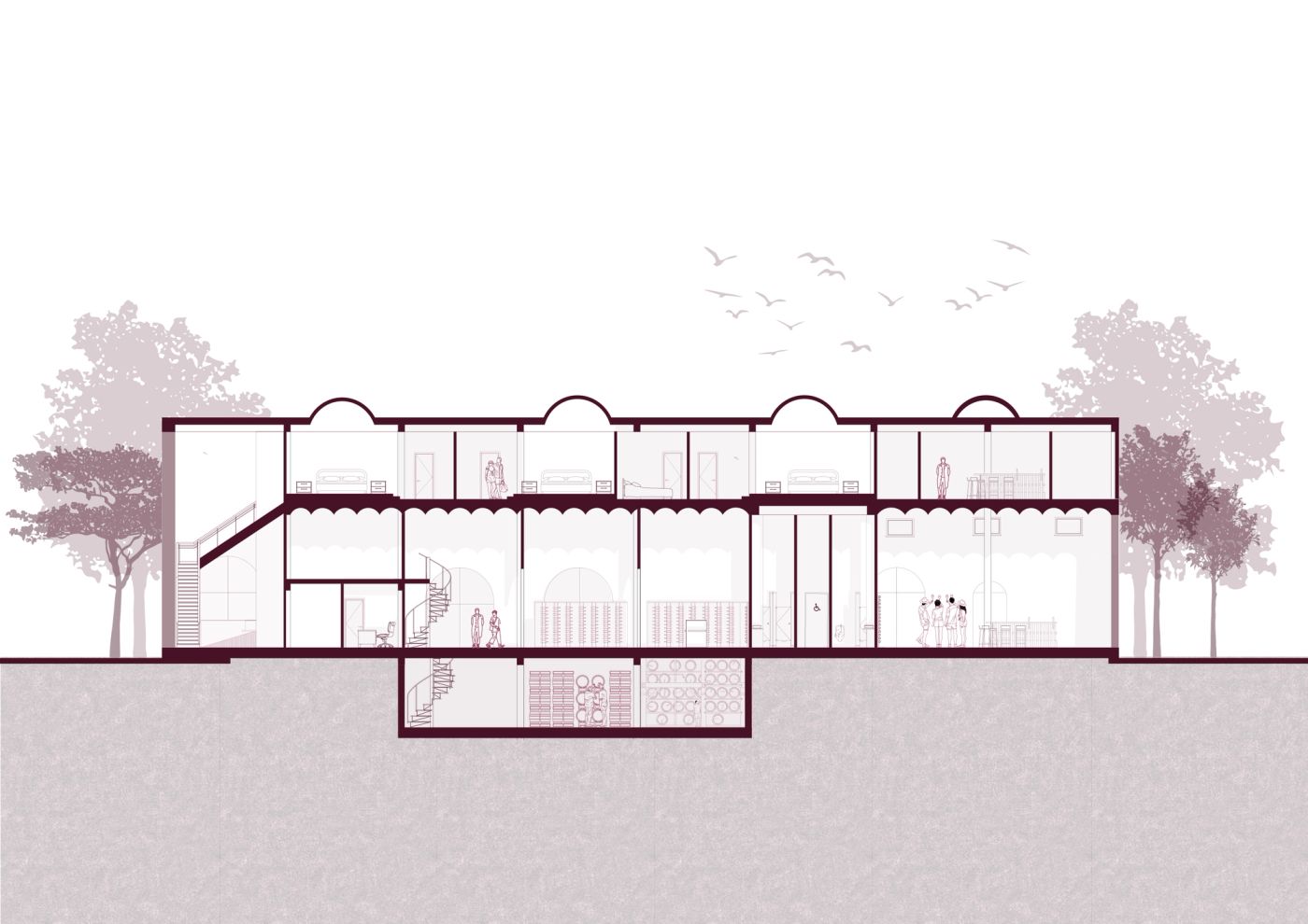 competition, drawings, section, winery