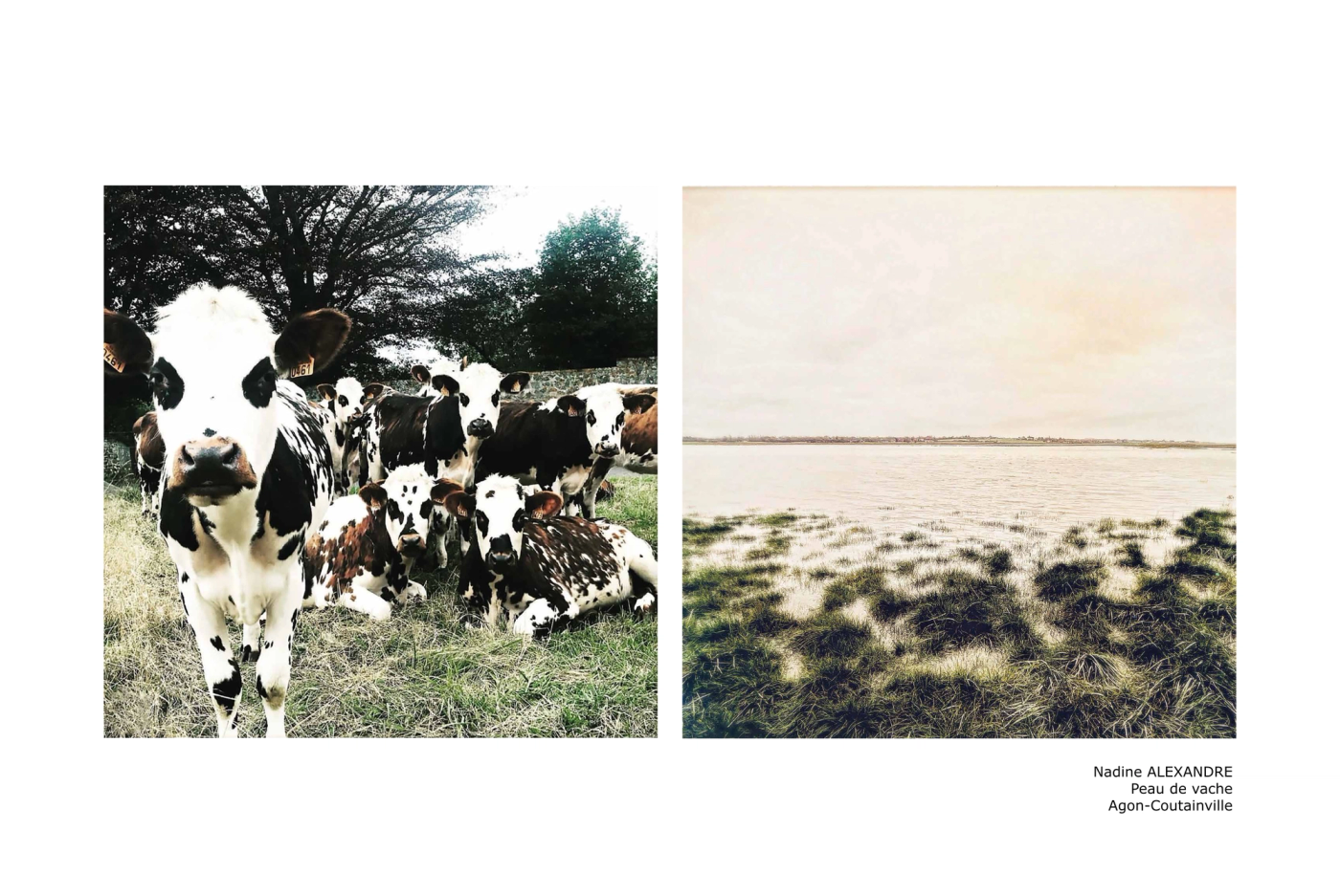 Peau de vache — Agon-Coutainville​​​​‌﻿‍﻿​‍​‍‌‍﻿﻿‌﻿​‍‌‍‍‌‌‍‌﻿‌‍‍‌‌‍﻿‍​‍​‍​﻿‍‍​‍​‍‌﻿​﻿‌‍​‌‌‍﻿‍‌‍‍‌‌﻿‌​‌﻿‍‌​‍﻿‍‌‍‍‌‌‍﻿﻿​‍​‍​‍﻿​​‍​‍‌‍‍​‌﻿​‍‌‍‌‌‌‍‌‍​‍​‍​﻿‍‍​‍​‍​‍﻿﻿‌‍​‌‌‍‌​‌‍﻿‌‌‍‍‌‌‍﻿‍​‍﻿﻿‌‍‍‌‌‍﻿‍‌﻿‌​‌‍‌‌‌‍﻿‍‌﻿‌​​‍﻿﻿‌‍‌‌‌‍‌​‌‍‍‌‌﻿‌​​‍﻿﻿‌‍﻿‌‌‍﻿﻿‌‍‌​‌‍‌‌​﻿﻿‌‌﻿​​‌﻿​‍‌‍‌‌‌﻿​﻿‌‍‌‌‌‍﻿‍‌﻿‌​‌‍​‌‌﻿‌​‌‍‍‌‌‍﻿﻿‌‍﻿‍​﻿‍﻿‌‍‍‌‌‍‌​​﻿﻿‌‌﻿‌﻿‌‍‍‌‌﻿​‍‌‌​​‌‍‍﻿‌​﻿‍‌‌​﻿​﻿‌‌‌‍﻿‍‌‍​‍‌﻿‍​‌﻿​​‌​‌‍‌​​﻿‌‌​‌‌​﻿‍​﻿‌﻿‌‍﻿‌‌​​﻿‌​‌​‌​‌‍‌‌‌​​﻿‍﻿‌﻿‌​‌﻿‍‌‌﻿​​‌‍‌‌​﻿﻿‌‌﻿​​‌‍‍​‌‍﻿﻿‌﻿‌​‌‍﻿﻿​﻿‍﻿‌﻿​​‌‍​‌‌﻿‌​‌‍‍​​﻿﻿‌‌‍​‌‌‍﻿​‌﻿‌​​﻿﻿﻿‌‍​‍‌‍​‌‌﻿​﻿‌‍‌‌‌‌‌‌‌﻿​‍‌‍﻿​​﻿﻿‌​‍‌‌​﻿​‍‌​‌‍‌‍​‌‌‍‌​‌‍﻿‌‌‍‍‌‌‍﻿‍​‍‌‍‌‍‍‌‌‍‌​​﻿﻿‌‌﻿‌﻿‌‍‍‌‌﻿​‍‌‌​​‌‍‍﻿‌​﻿‍‌‌​﻿​﻿‌‌‌‍﻿‍‌‍​‍‌﻿‍​‌﻿​​‌​‌‍‌​​﻿‌‌​‌‌​﻿‍​﻿‌﻿‌‍﻿‌‌​​﻿‌​‌​‌​‌‍‌‌‌​​‍‌‍‌﻿‌​‌﻿‍‌‌﻿​​‌‍‌‌​﻿﻿‌‌﻿​​‌‍‍​‌‍﻿﻿‌﻿‌​‌‍﻿﻿​‍‌‍‌﻿​​‌‍​‌‌﻿‌​‌‍‍​​﻿﻿‌‌‍​‌‌‍﻿​‌﻿‌​​‍‌‍‌﻿​​‌‍‌‌‌﻿​‍‌﻿​﻿‌﻿​​‌‍‌‌‌‍​﻿‌﻿‌​‌‍‍‌‌﻿‌‍‌‍‌‌​﻿﻿‌‌﻿​​‌﻿‌‌‌‍​‍‌‍﻿​‌‍‍‌‌﻿​﻿‌‍‍​‌‍‌‌‌‍‌​​‍​‍‌﻿﻿‌