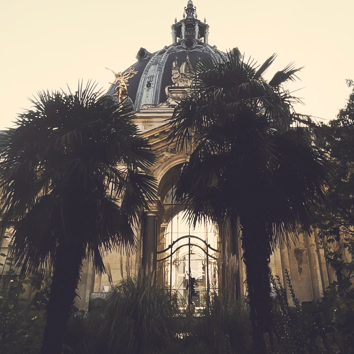 Petit palais - Paris