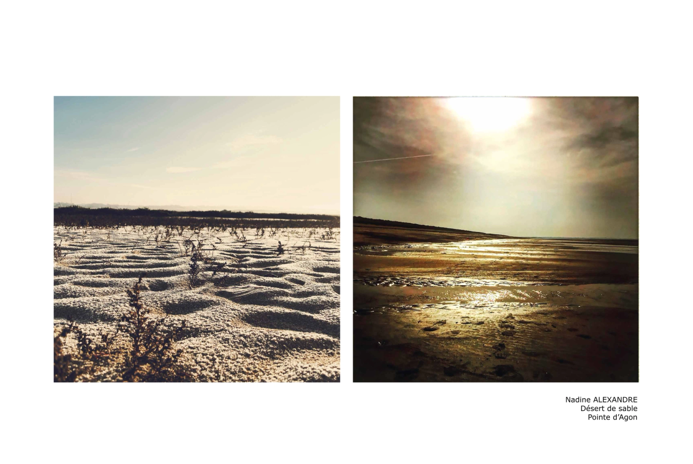 Désert de sable — Pointe d'Agon​​​​‌﻿‍﻿​‍​‍‌‍﻿﻿‌﻿​‍‌‍‍‌‌‍‌﻿‌‍‍‌‌‍﻿‍​‍​‍​﻿‍‍​‍​‍‌﻿​﻿‌‍​‌‌‍﻿‍‌‍‍‌‌﻿‌​‌﻿‍‌​‍﻿‍‌‍‍‌‌‍﻿﻿​‍​‍​‍﻿​​‍​‍‌‍‍​‌﻿​‍‌‍‌‌‌‍‌‍​‍​‍​﻿‍‍​‍​‍​‍﻿﻿‌‍​‌‌‍‌​‌‍﻿‌‌‍‍‌‌‍﻿‍​‍﻿﻿‌‍‍‌‌‍﻿‍‌﻿‌​‌‍‌‌‌‍﻿‍‌﻿‌​​‍﻿﻿‌‍‌‌‌‍‌​‌‍‍‌‌﻿‌​​‍﻿﻿‌‍﻿‌‌‍﻿﻿‌‍‌​‌‍‌‌​﻿﻿‌‌﻿​​‌﻿​‍‌‍‌‌‌﻿​﻿‌‍‌‌‌‍﻿‍‌﻿‌​‌‍​‌‌﻿‌​‌‍‍‌‌‍﻿﻿‌‍﻿‍​﻿‍﻿‌‍‍‌‌‍‌​​﻿﻿‌‌﻿‌﻿‌‍‍‌‌﻿​‍‌‌​​‌‍‍﻿‌​﻿‍‌‌​﻿​﻿‌‌‌‍﻿‍‌‍​‍‌﻿‍​‌﻿​​‌​‌‍‌​​﻿‌‌​‌‌​﻿‍​﻿‌﻿‌‍﻿‌‌​​﻿​﻿‌​‌‍‍​‌‍​‍​﻿‍﻿‌﻿‌​‌﻿‍‌‌﻿​​‌‍‌‌​﻿﻿‌‌﻿​​‌‍‍​‌‍﻿﻿‌﻿‌​‌‍﻿﻿​﻿‍﻿‌﻿​​‌‍​‌‌﻿‌​‌‍‍​​﻿﻿‌‌‍​‌‌‍﻿​‌﻿‌​​﻿﻿﻿‌‍​‍‌‍​‌‌﻿​﻿‌‍‌‌‌‌‌‌‌﻿​‍‌‍﻿​​﻿﻿‌​‍‌‌​﻿​‍‌​‌‍‌‍​‌‌‍‌​‌‍﻿‌‌‍‍‌‌‍﻿‍​‍‌‍‌‍‍‌‌‍‌​​﻿﻿‌‌﻿‌﻿‌‍‍‌‌﻿​‍‌‌​​‌‍‍﻿‌​﻿‍‌‌​﻿​﻿‌‌‌‍﻿‍‌‍​‍‌﻿‍​‌﻿​​‌​‌‍‌​​﻿‌‌​‌‌​﻿‍​﻿‌﻿‌‍﻿‌‌​​﻿​﻿‌​‌‍‍​‌‍​‍​‍‌‍‌﻿‌​‌﻿‍‌‌﻿​​‌‍‌‌​﻿﻿‌‌﻿​​‌‍‍​‌‍﻿﻿‌﻿‌​‌‍﻿﻿​‍‌‍‌﻿​​‌‍​‌‌﻿‌​‌‍‍​​﻿﻿‌‌‍​‌‌‍﻿​‌﻿‌​​‍‌‍‌﻿​​‌‍‌‌‌﻿​‍‌﻿​﻿‌﻿​​‌‍‌‌‌‍​﻿‌﻿‌​‌‍‍‌‌﻿‌‍‌‍‌‌​﻿﻿‌‌﻿​​‌﻿‌‌‌‍​‍‌‍﻿​‌‍‍‌‌﻿​﻿‌‍‍​‌‍‌‌‌‍‌​​‍​‍‌﻿﻿‌