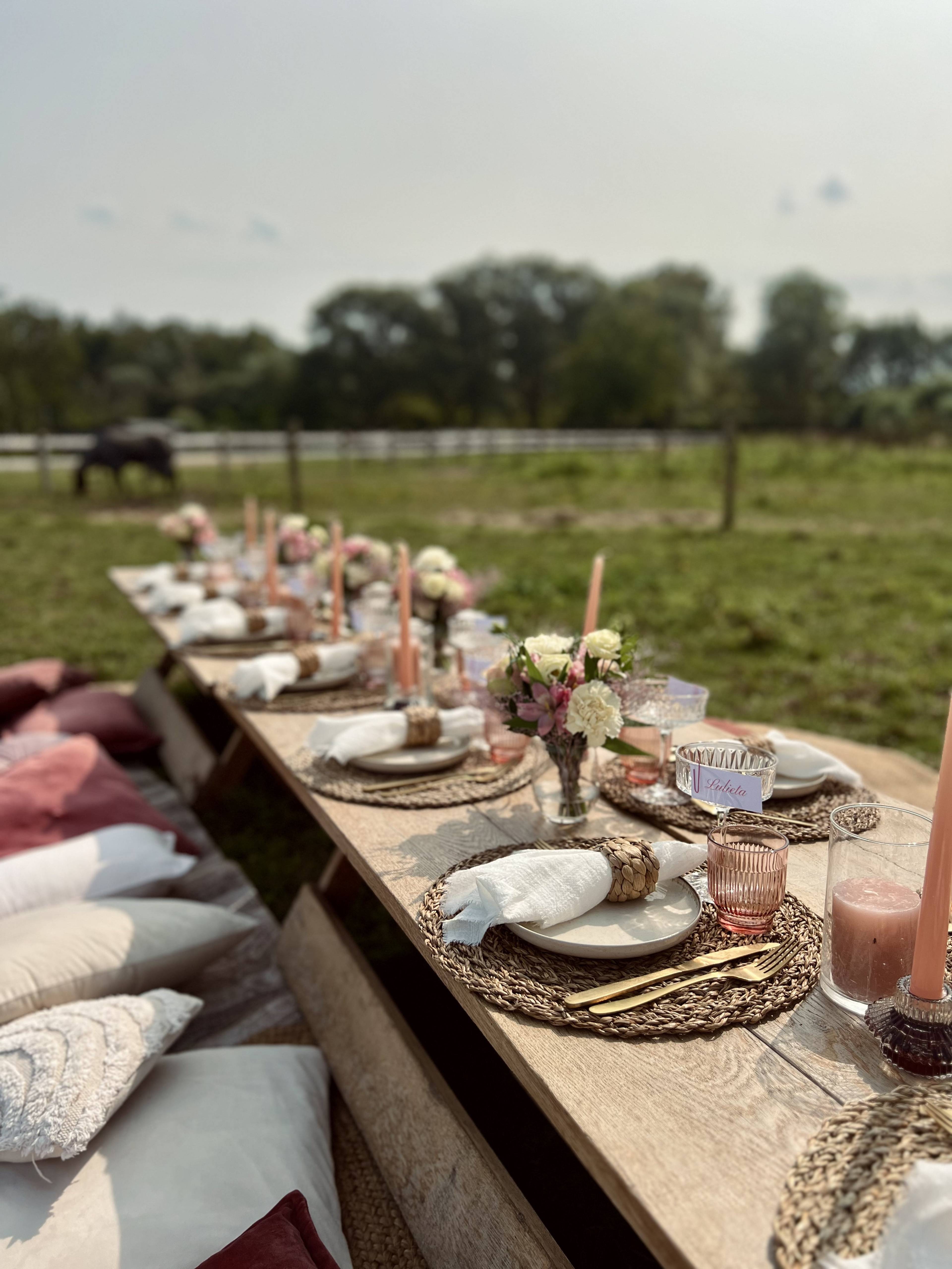Field picnic