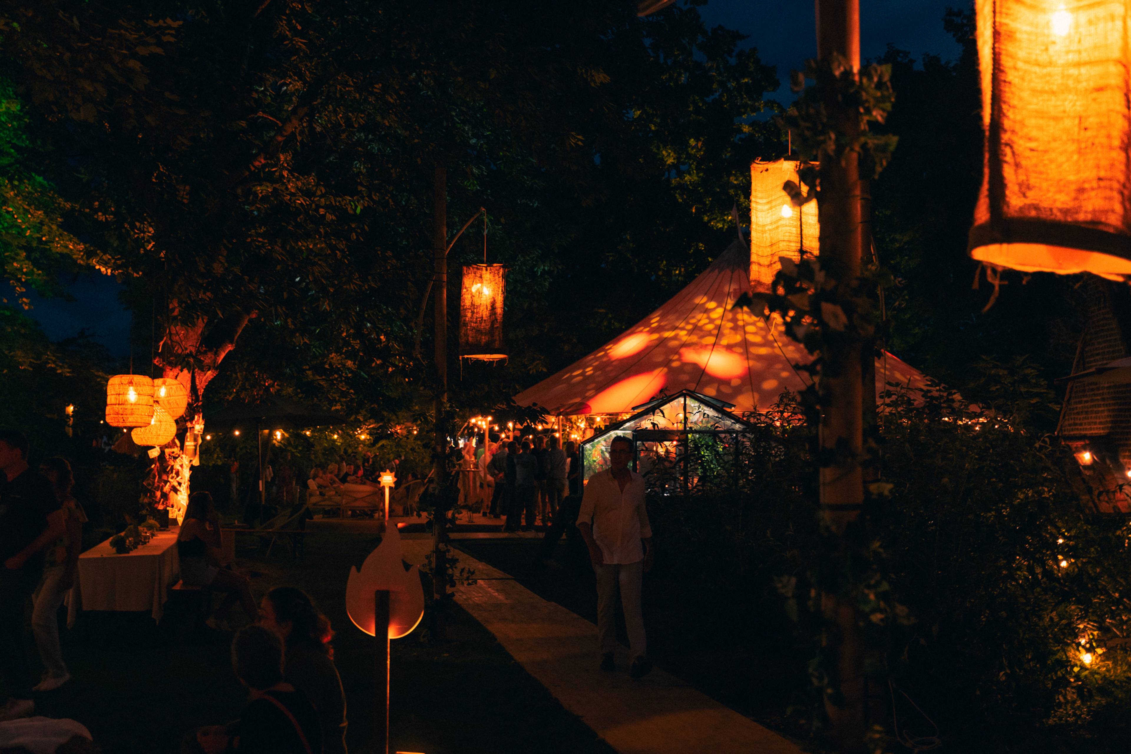 A night in the Forest