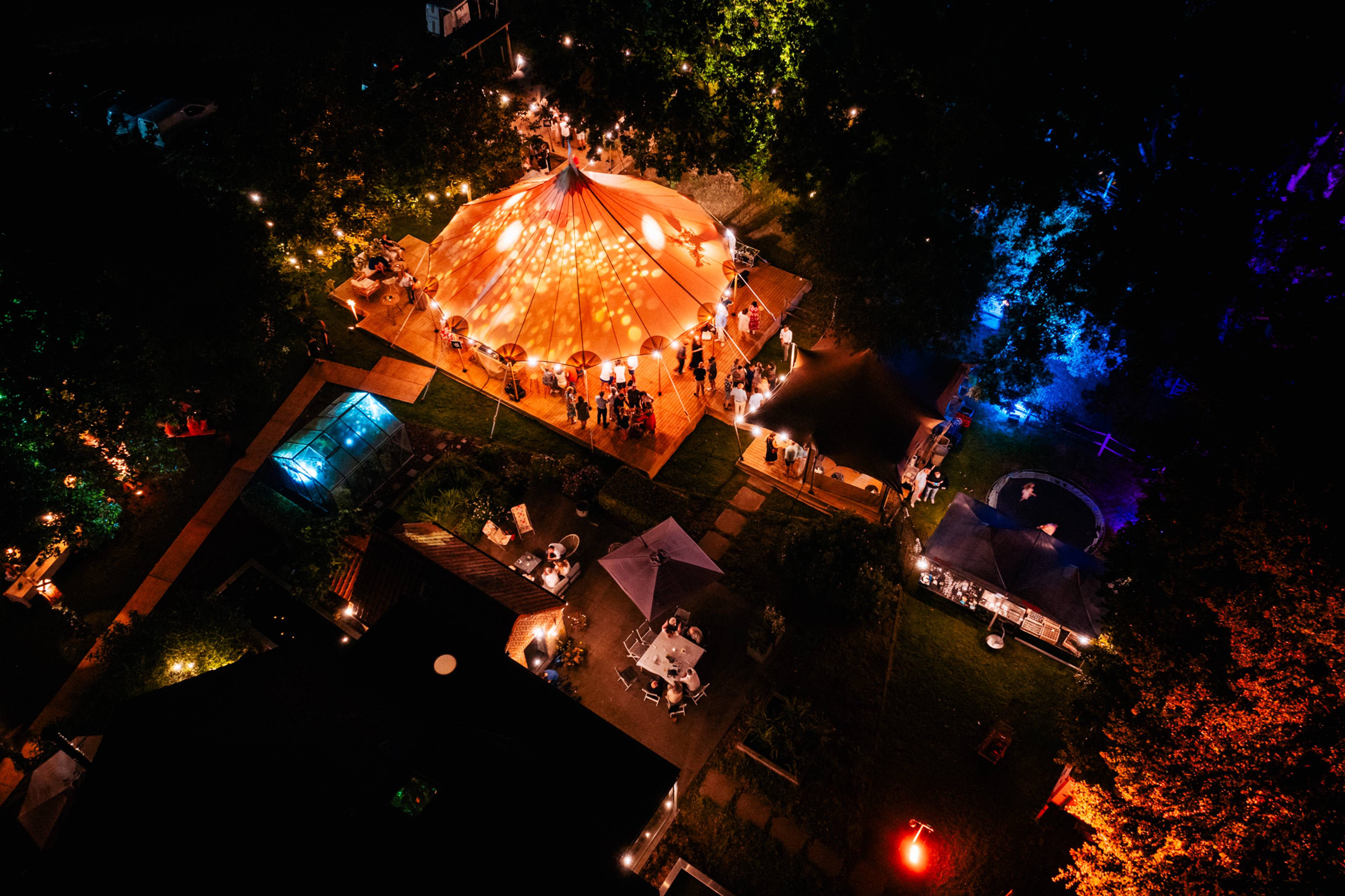 A night in the Forest