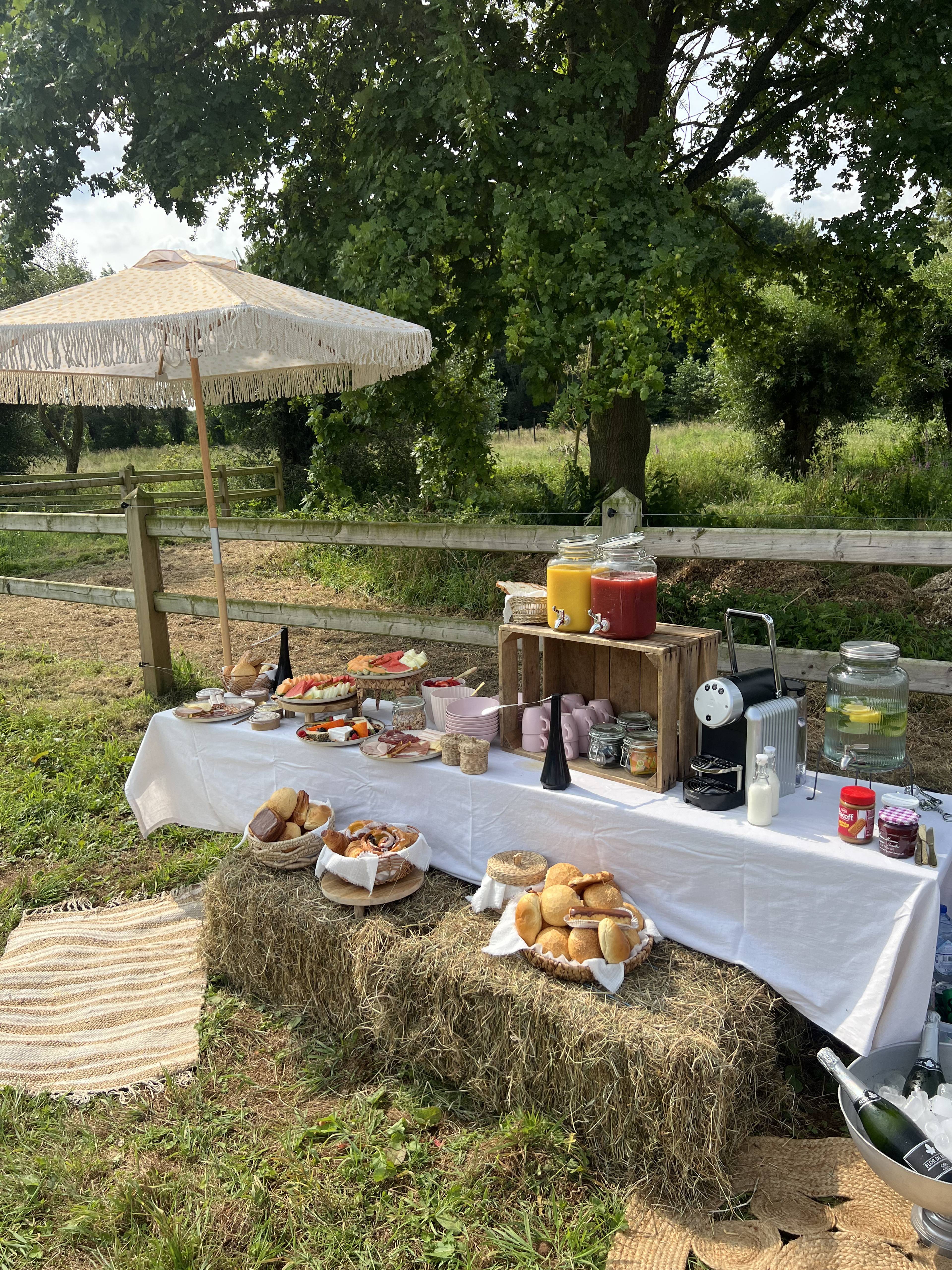 Field picnic