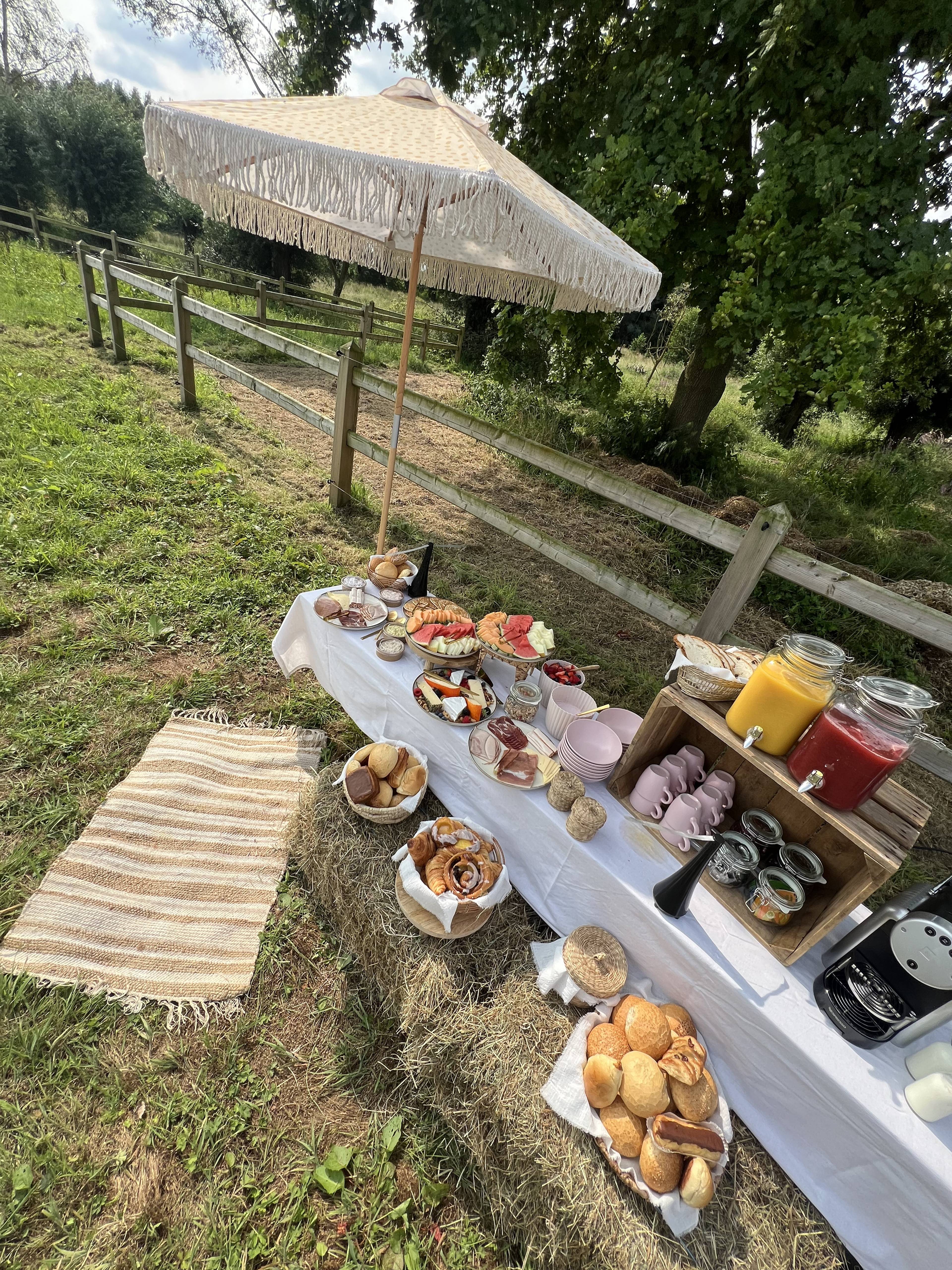 Field picnic