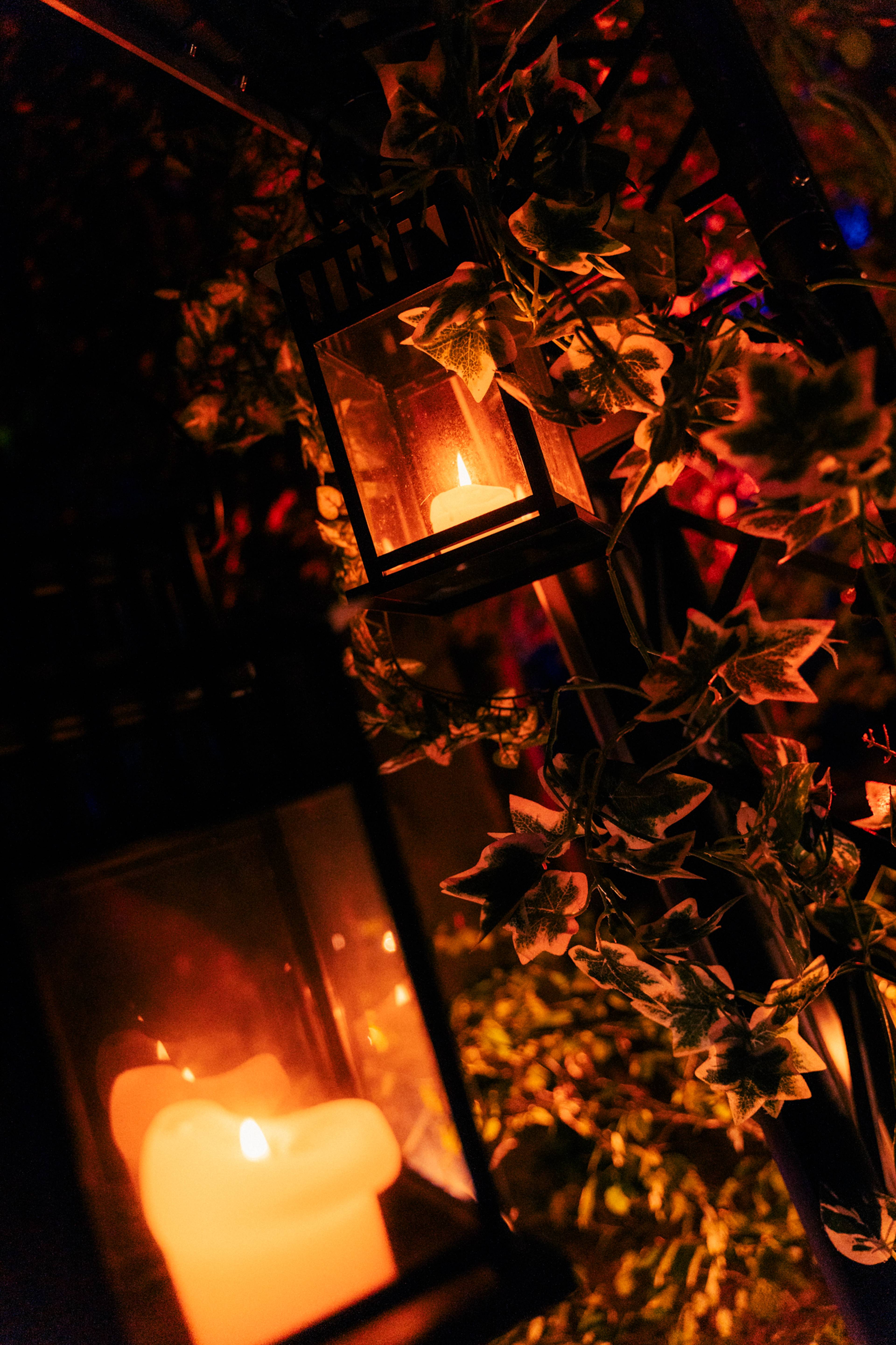 A night in the Forest