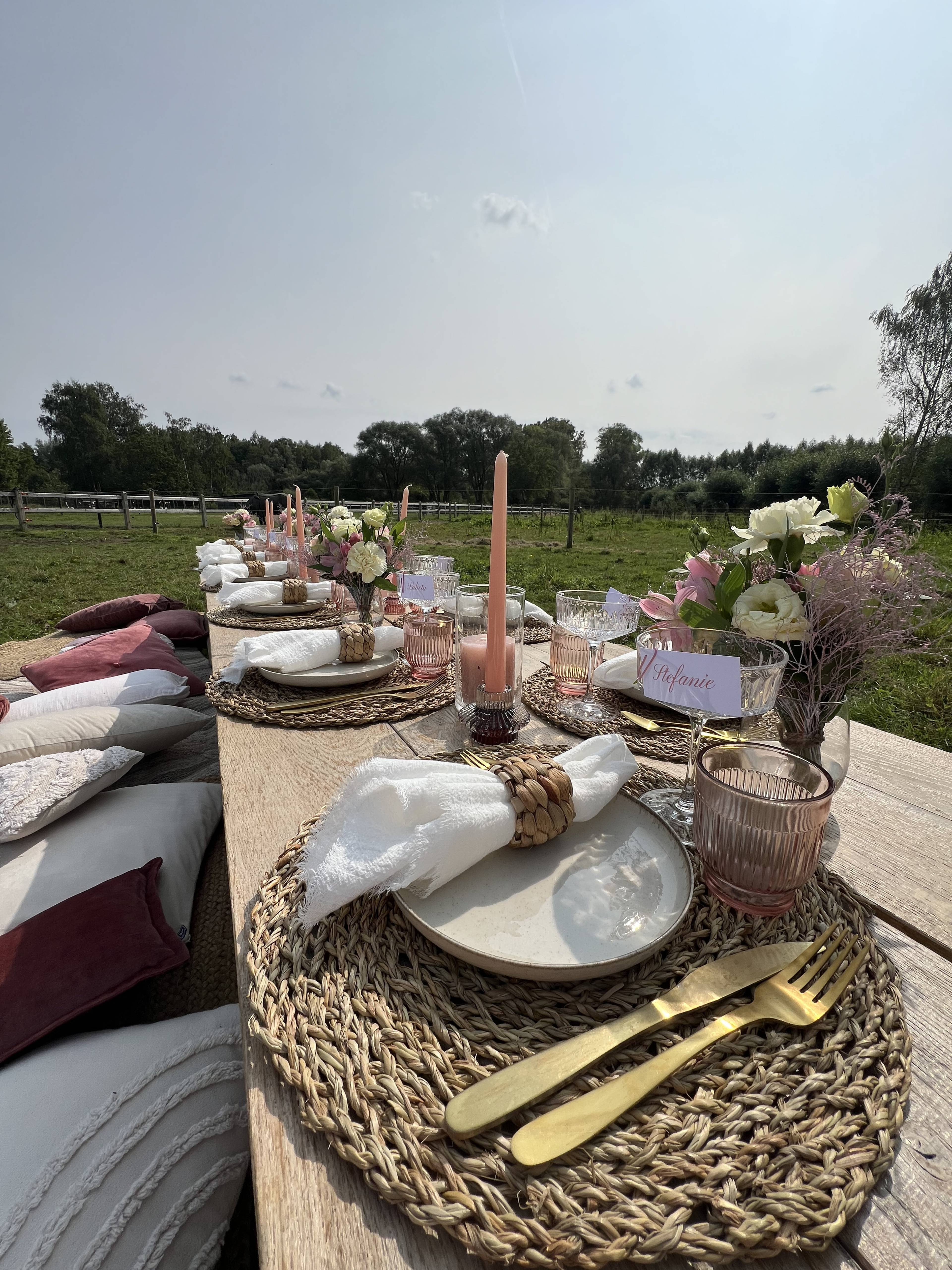 Field picnic