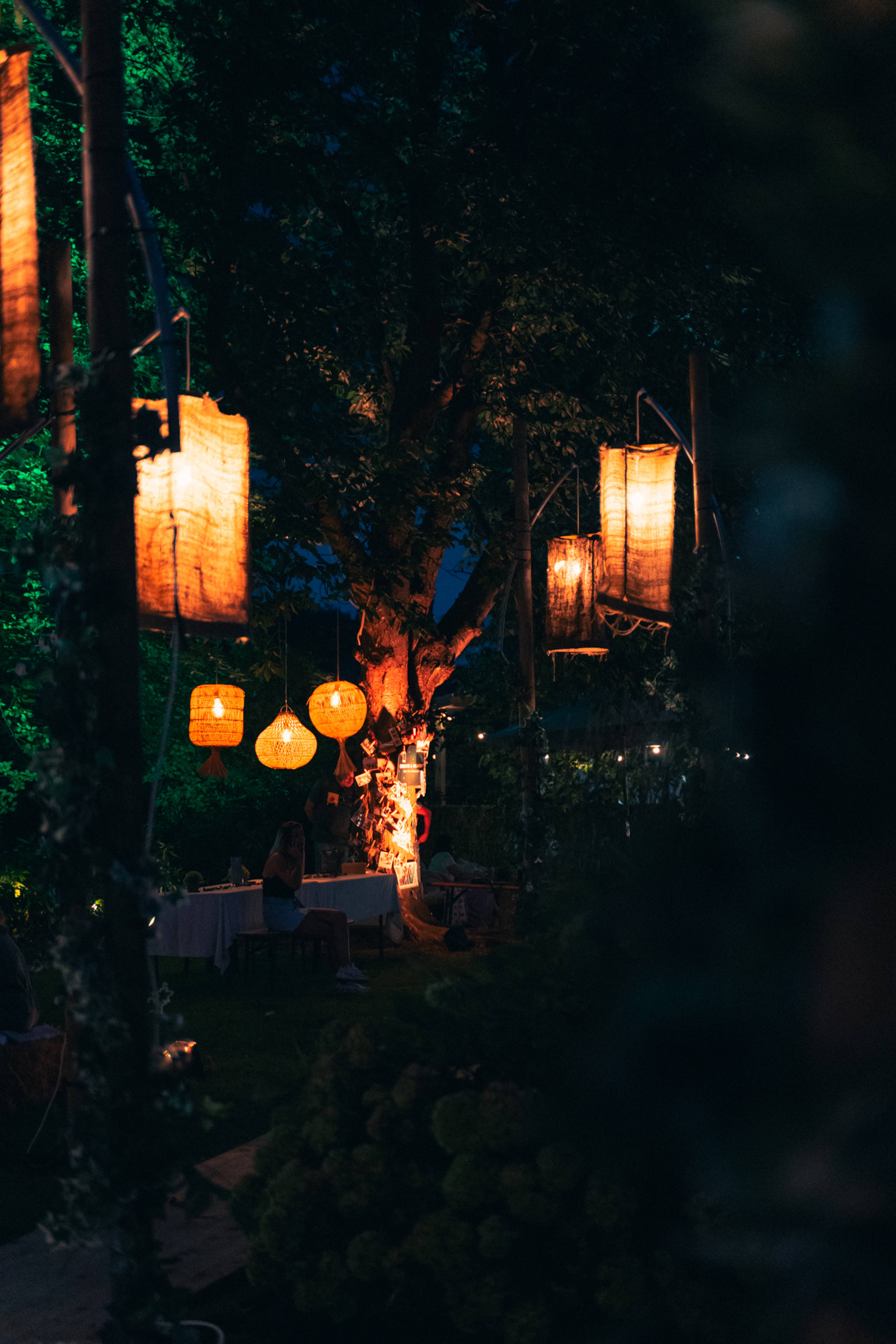 A night in the Forest