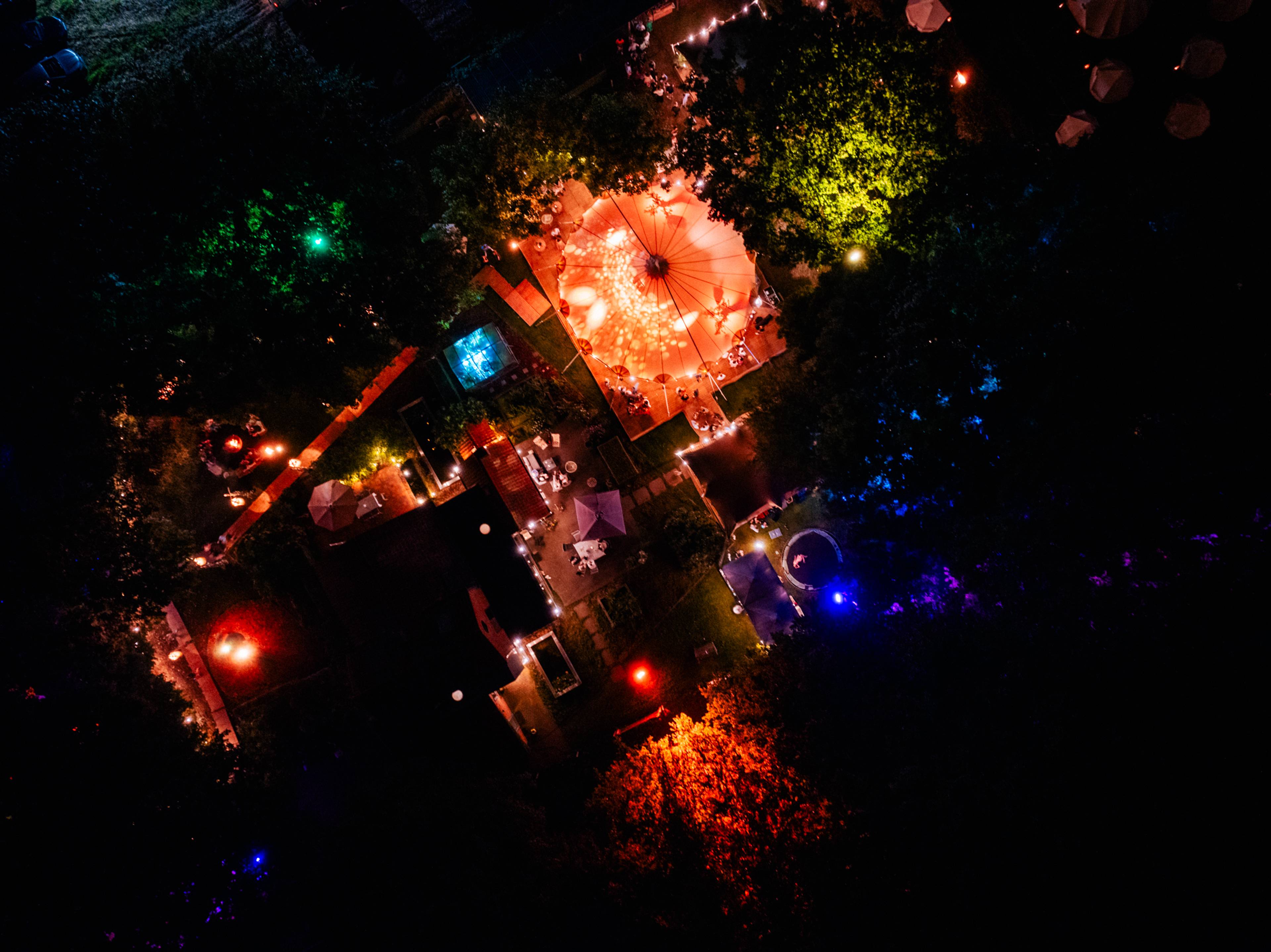 A night in the Forest