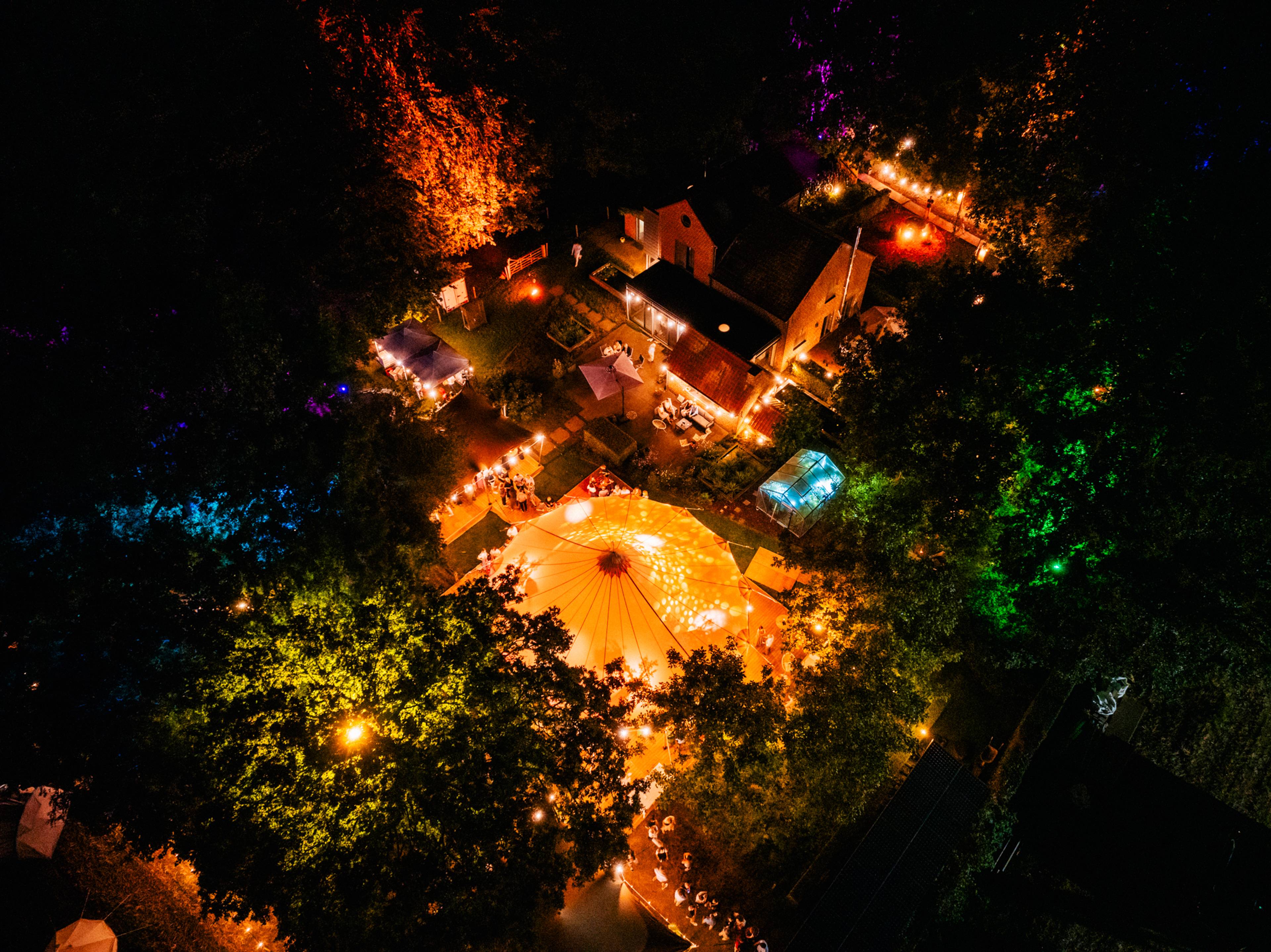 A night in the Forest