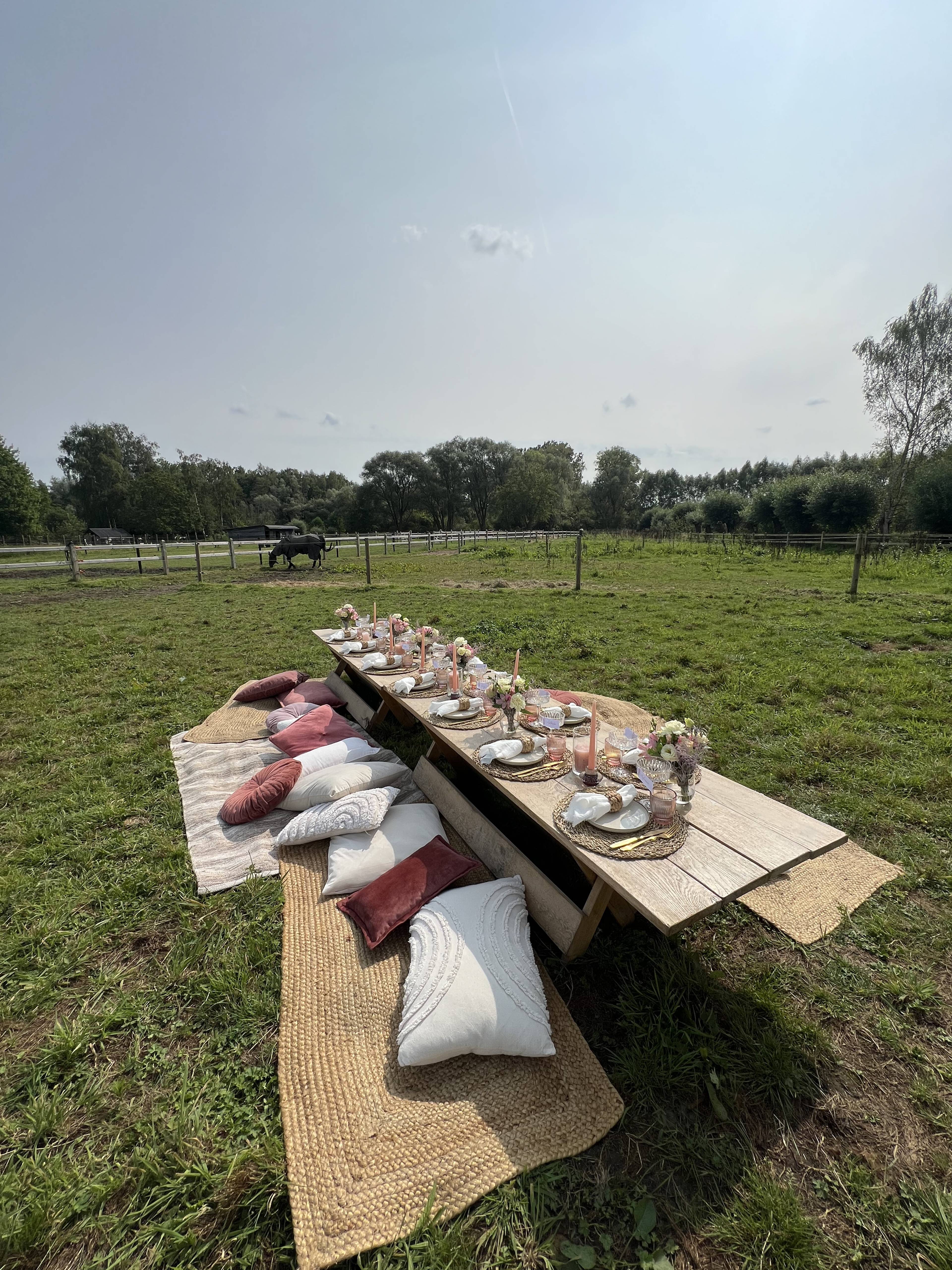 Field picnic