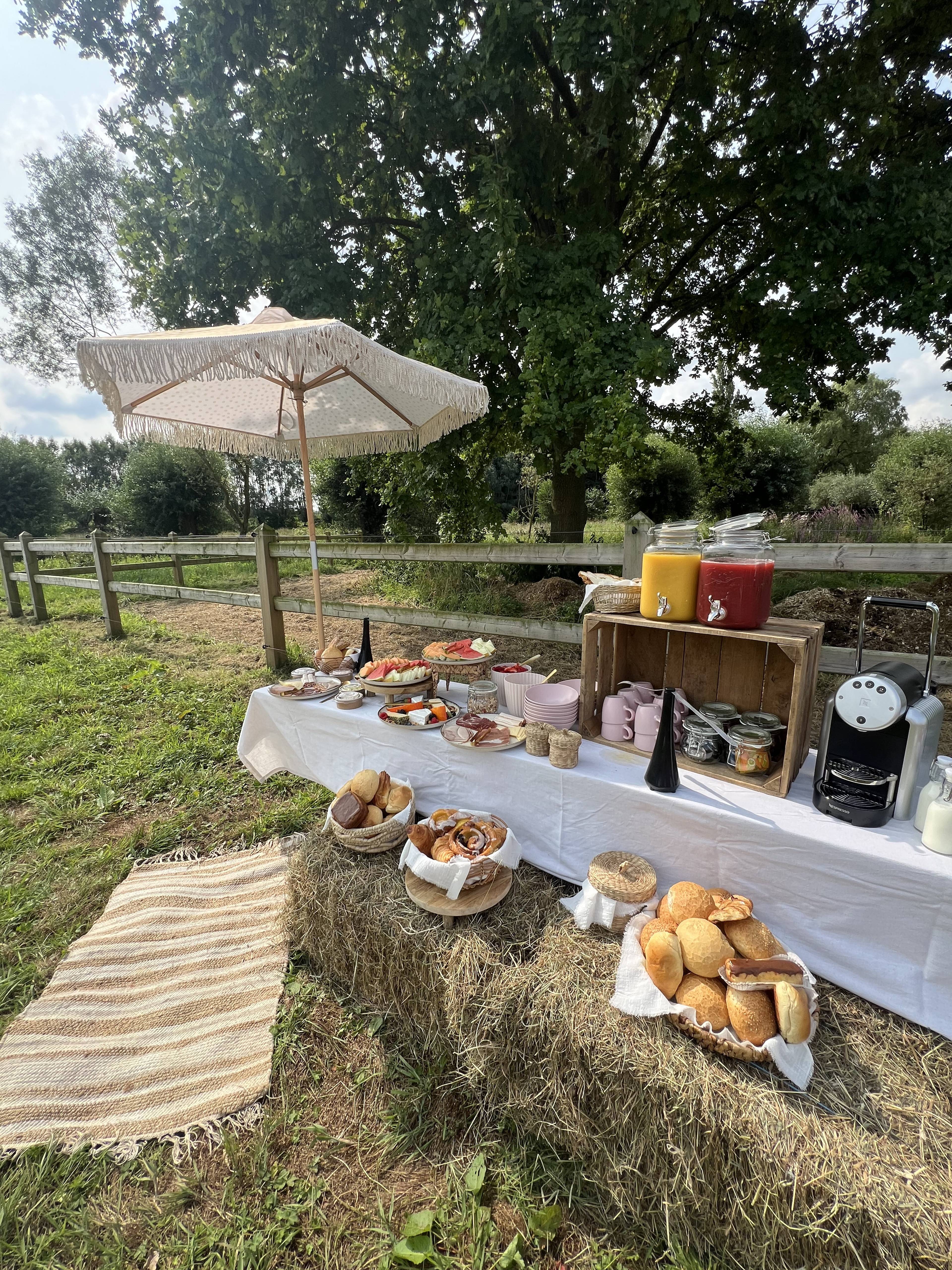 Field picnic