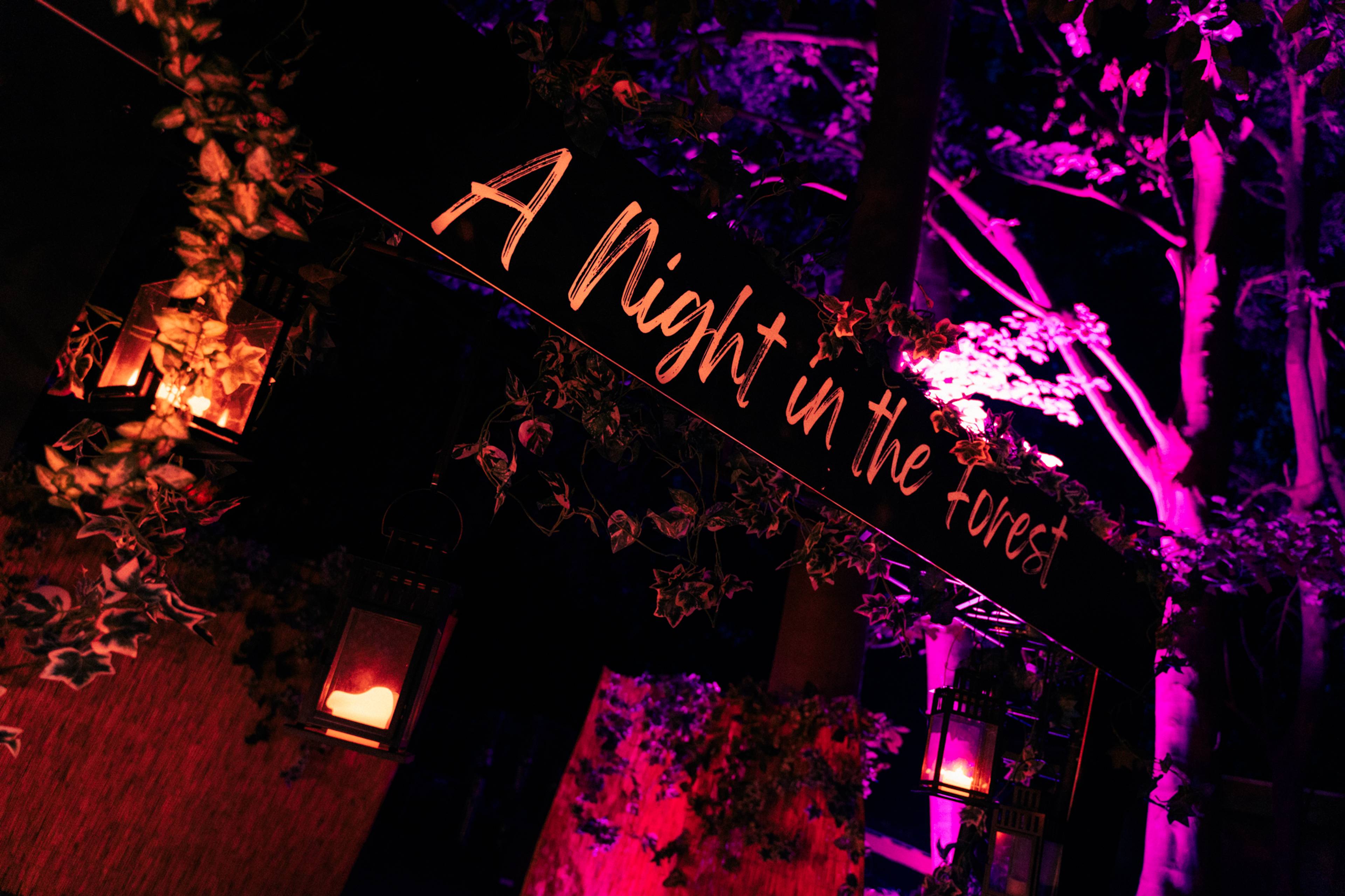 A night in the Forest