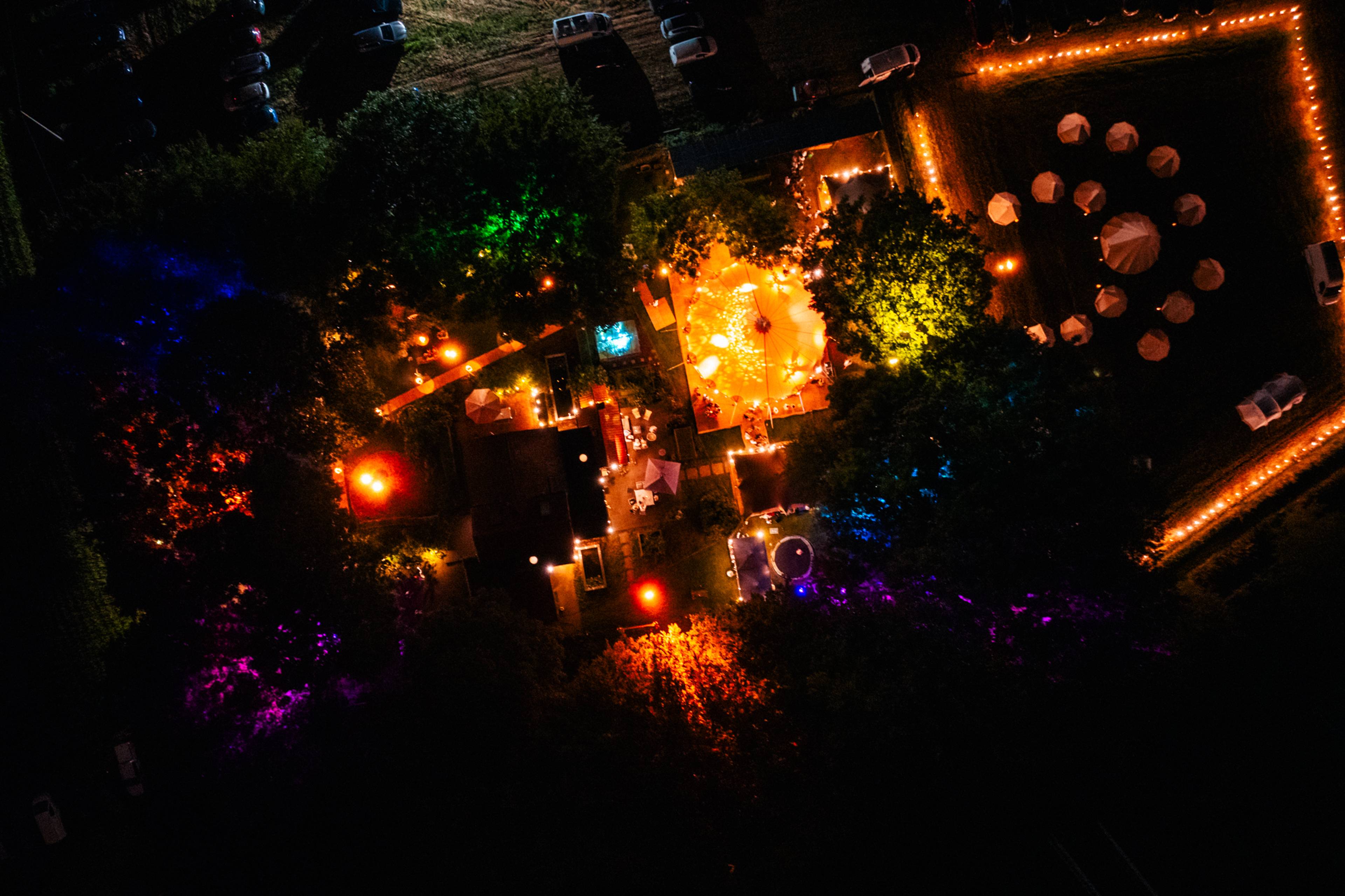 A night in the Forest
