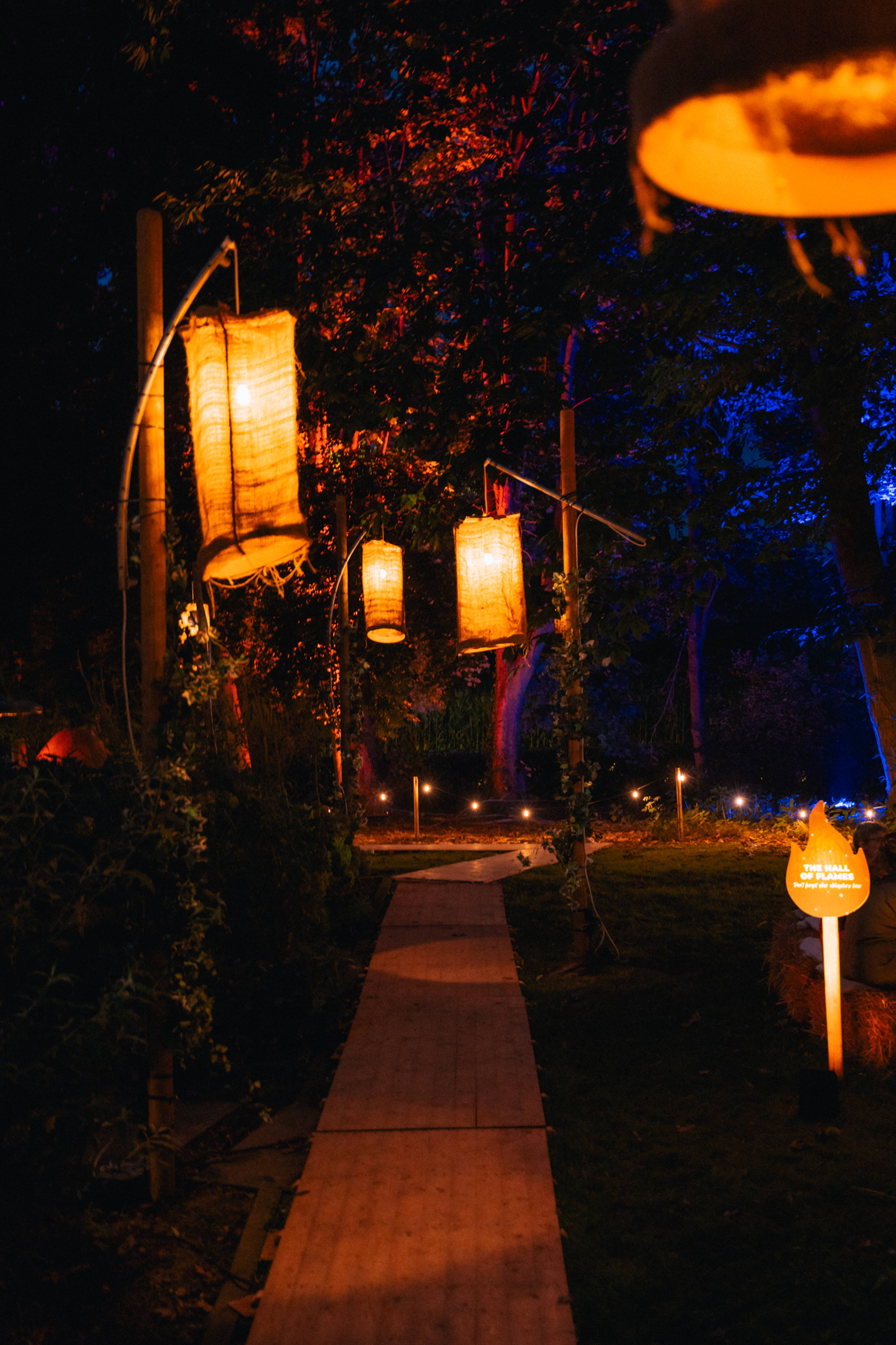 A night in the Forest
