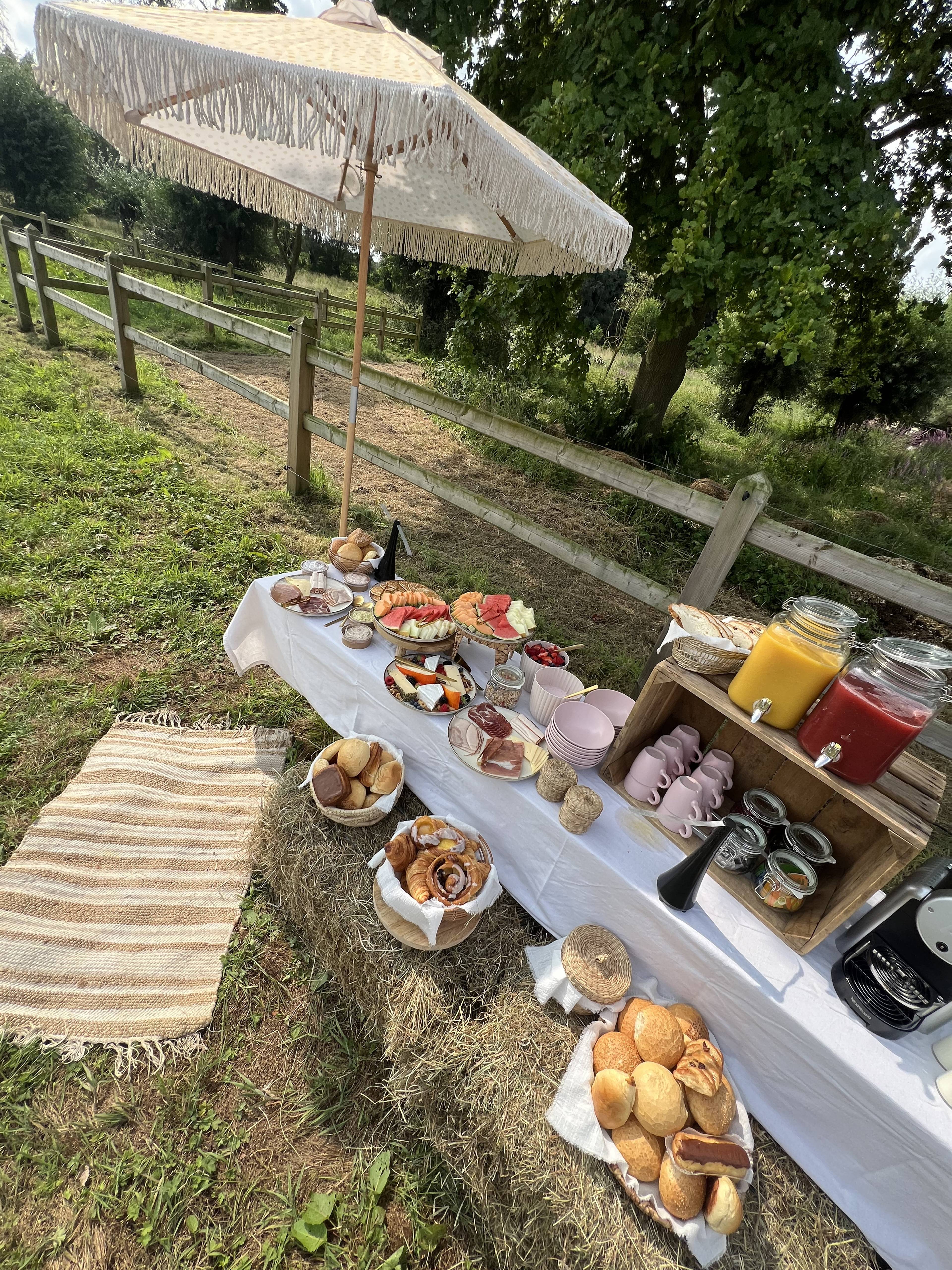 Field picnic