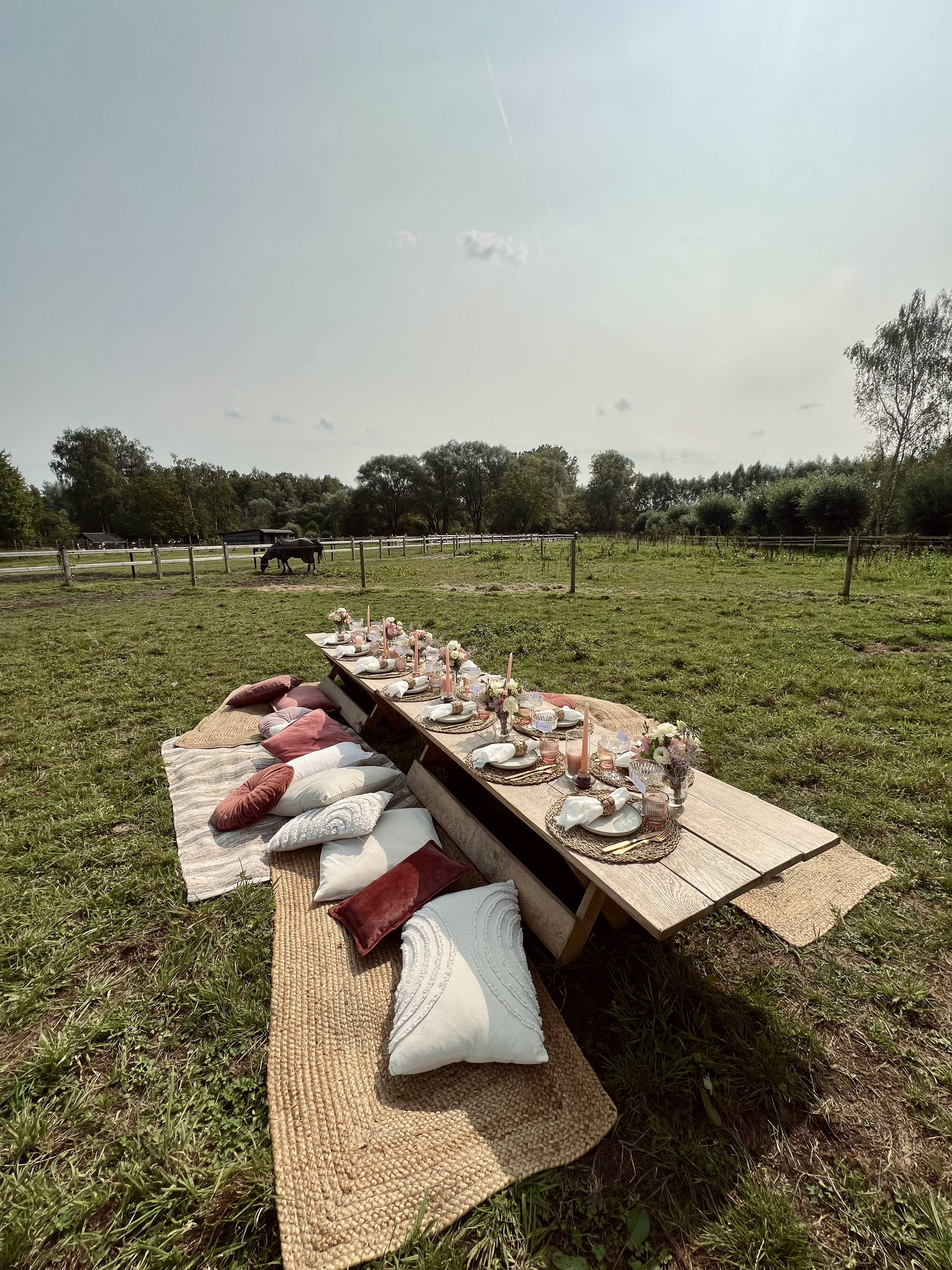 Field picnic