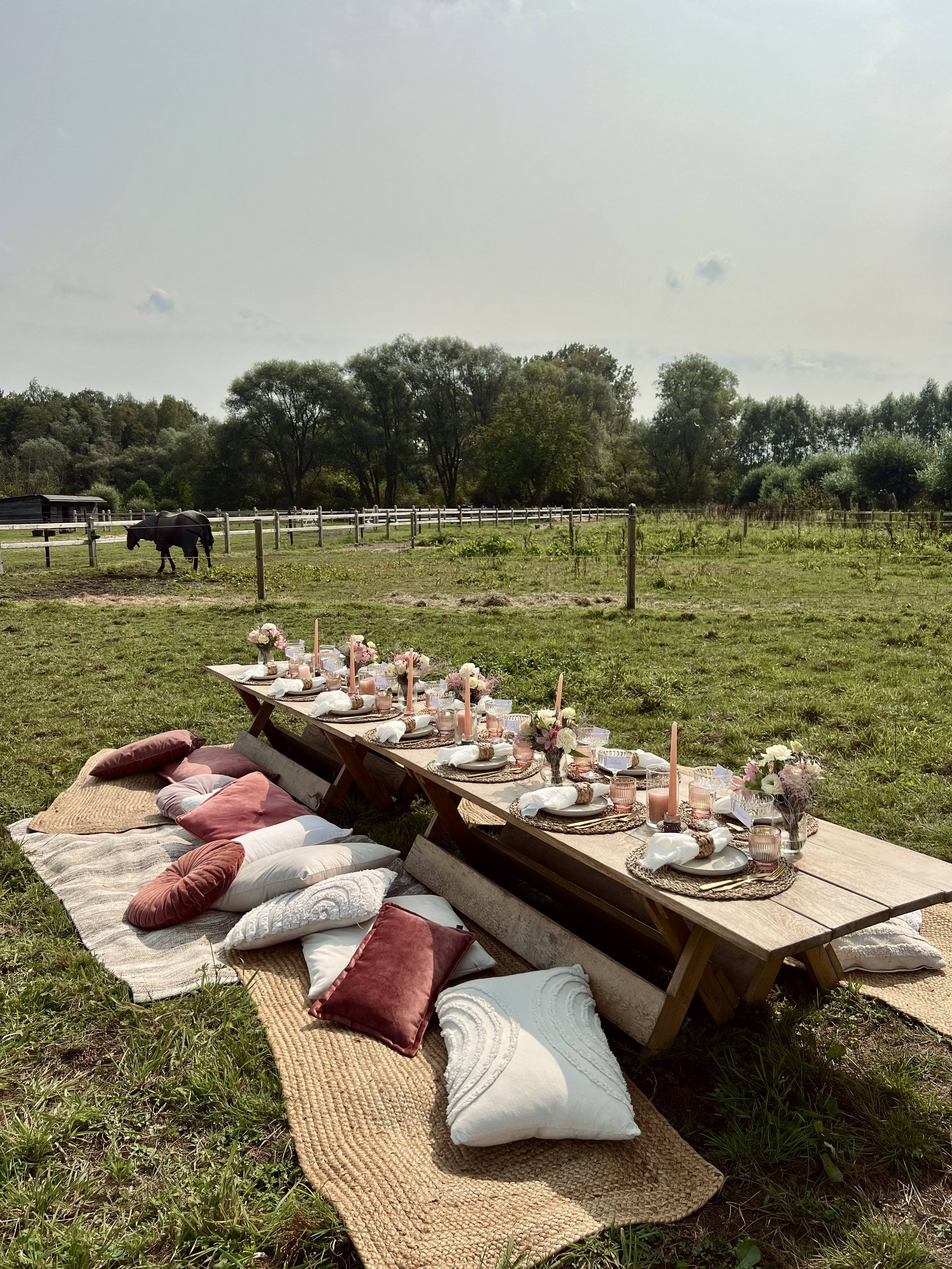 Field picnic