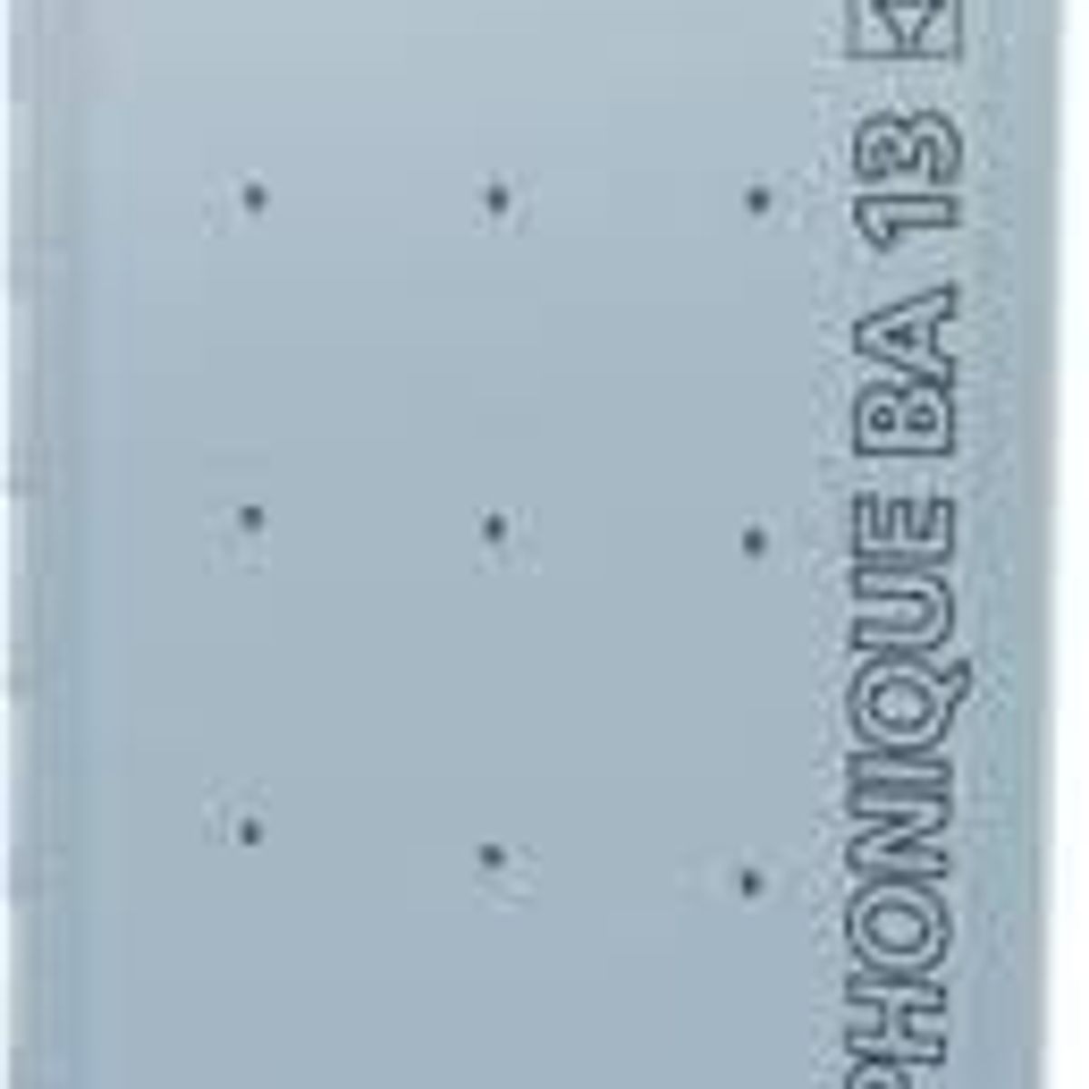 Plaque Boardex BA 13 1,2×2,5