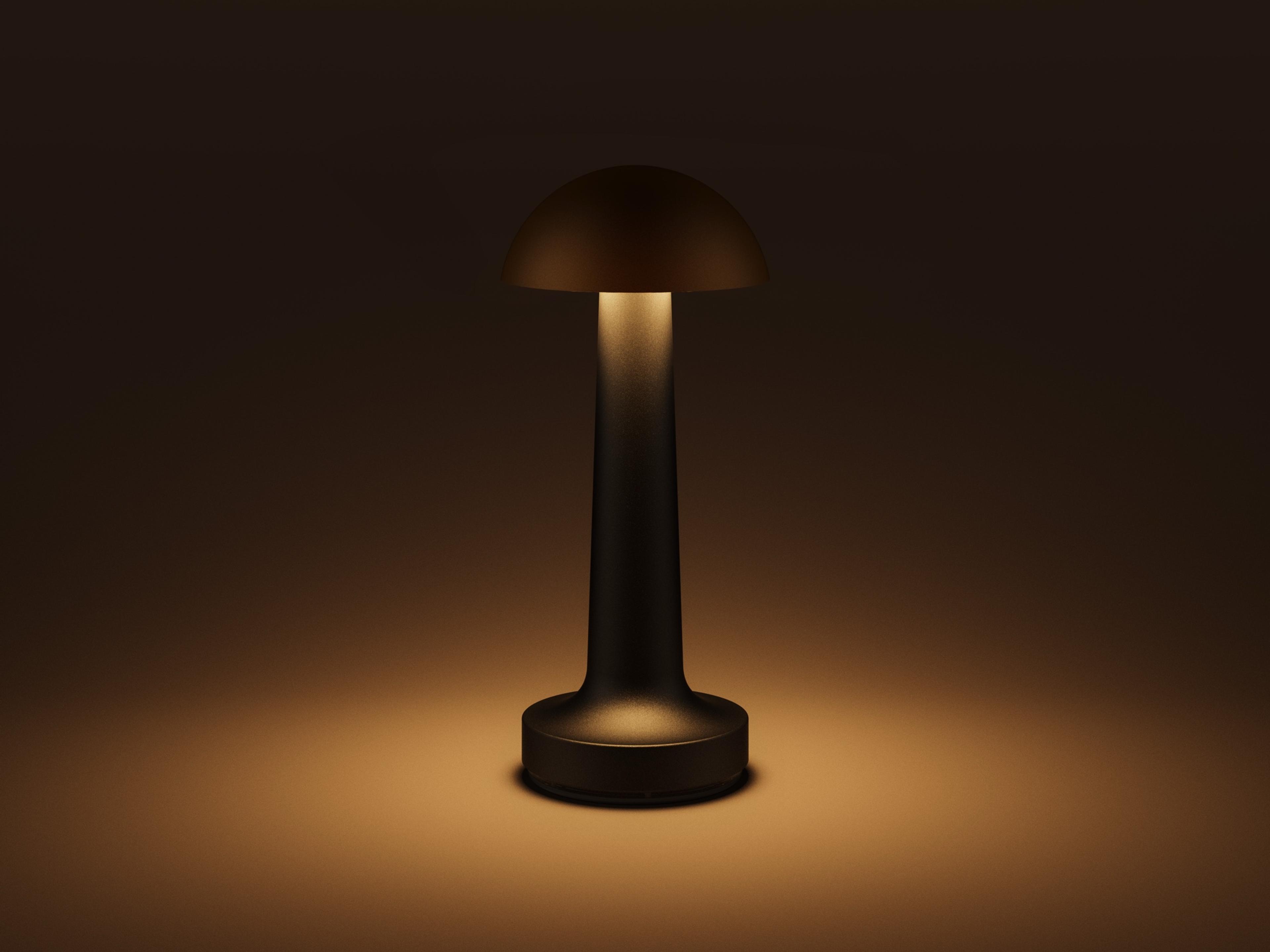 Cooee — Cooee 1c / Sandblasted Black / Warm White (2600K)