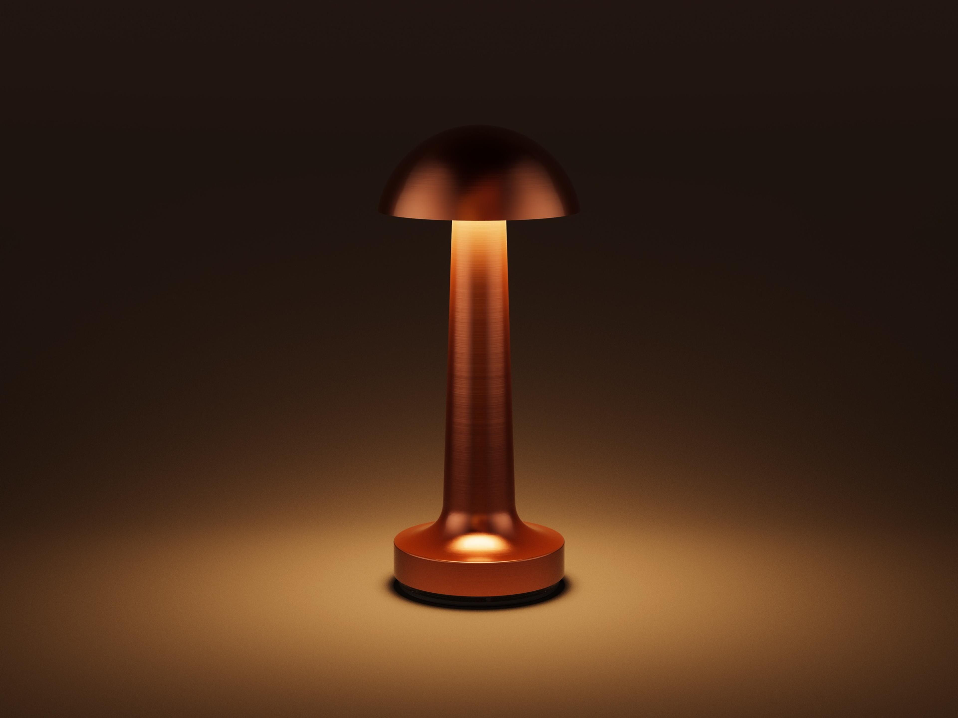 Cooee — Cooee 1c / Sandblasted Black / Warm White (2600K)