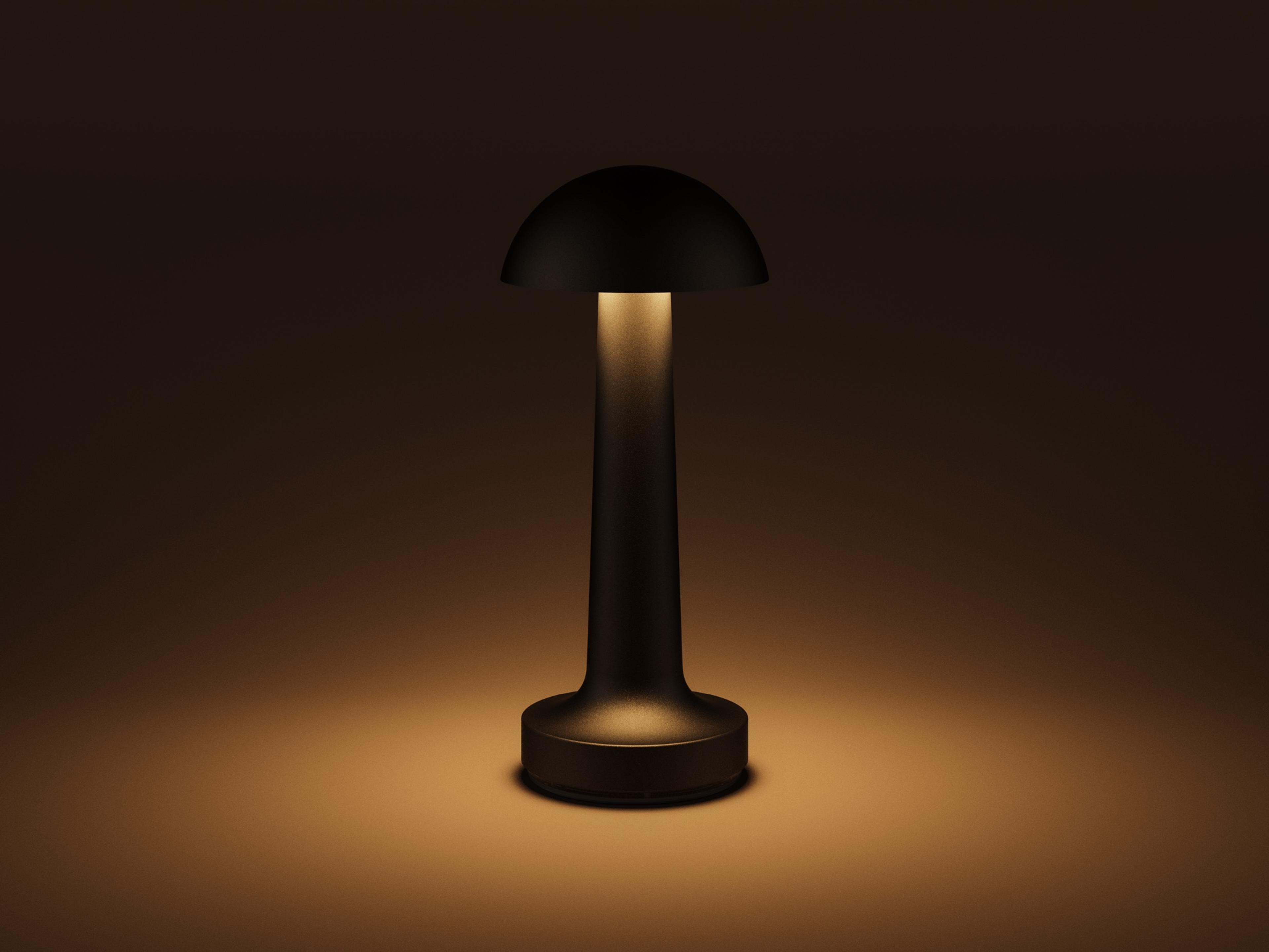 Cooee — Cooee 1c / Sandblasted Black / Warm White (2600K)