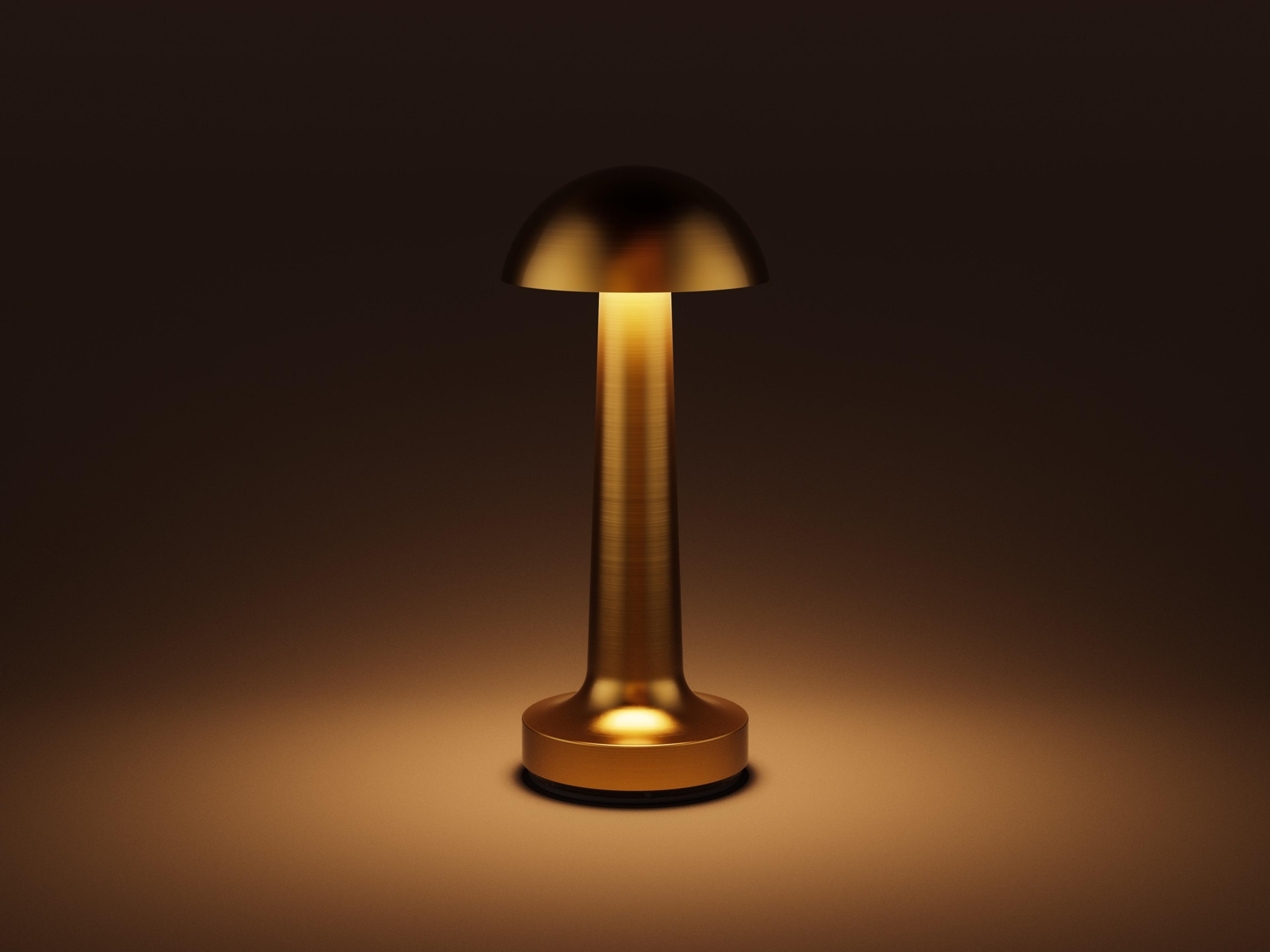 Cooee — Cooee 1c / Sandblasted Black / Warm White (2600K)