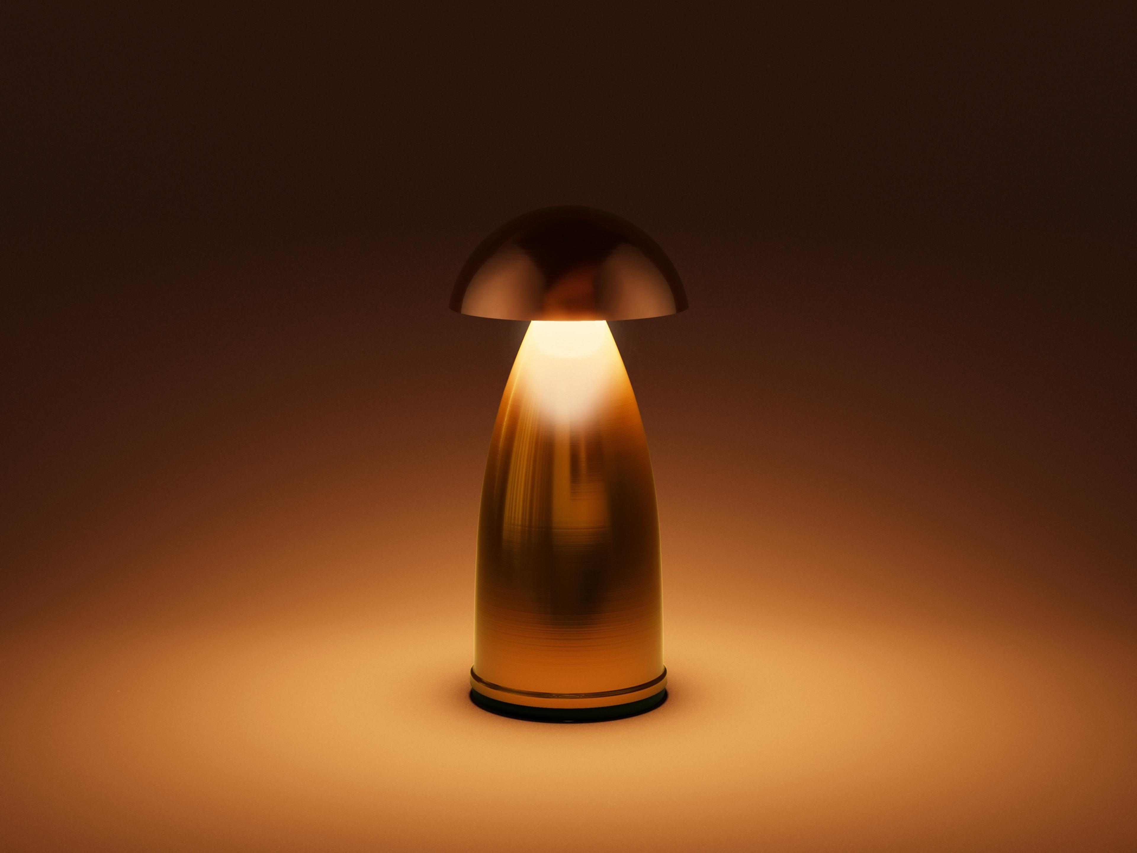 Owl — Owl 1 / Stainless Steel / N1 / Warm White (2600K)