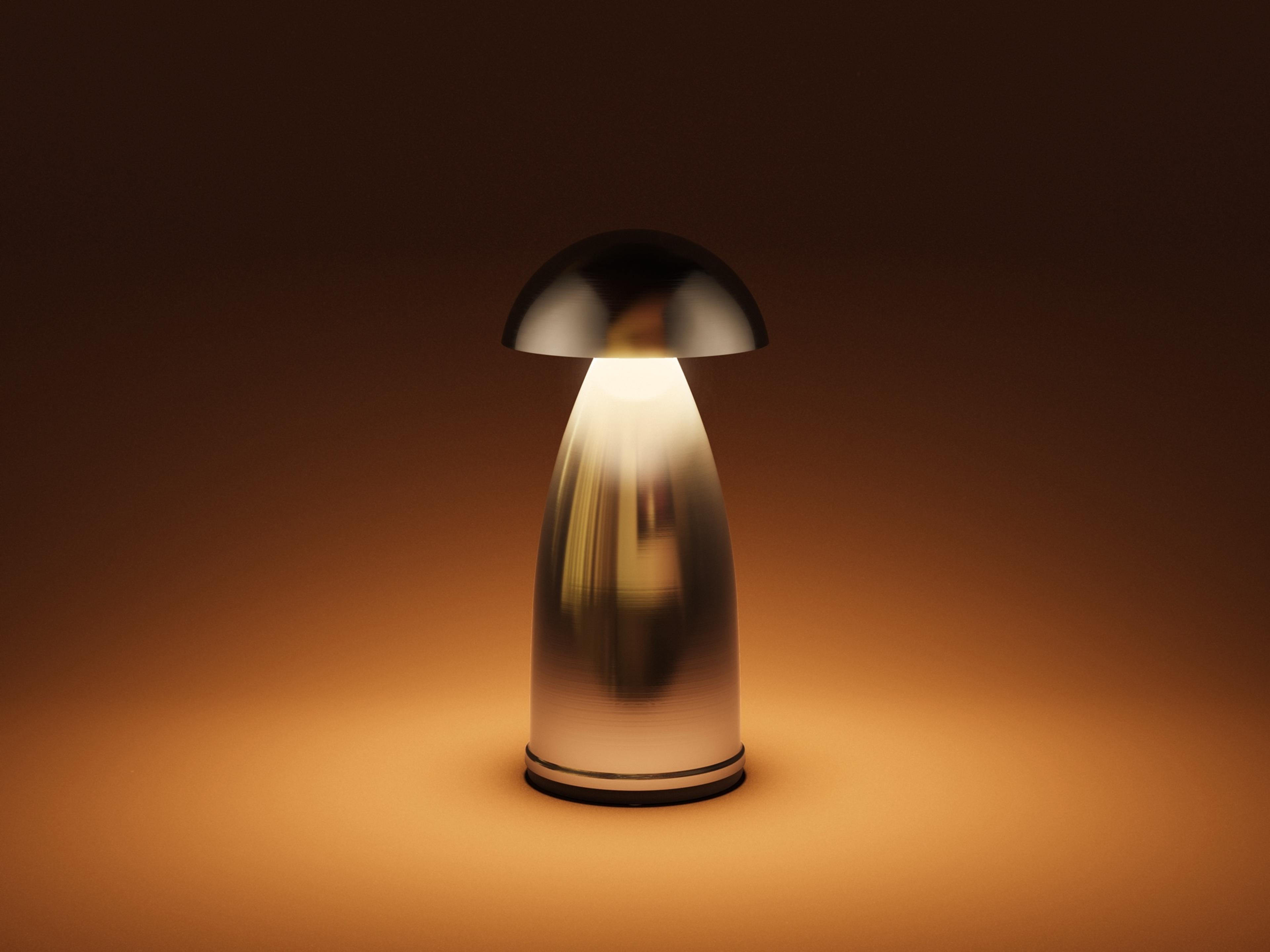 Owl — Owl 1 / Stainless Steel / N1 / Warm White (2600K)