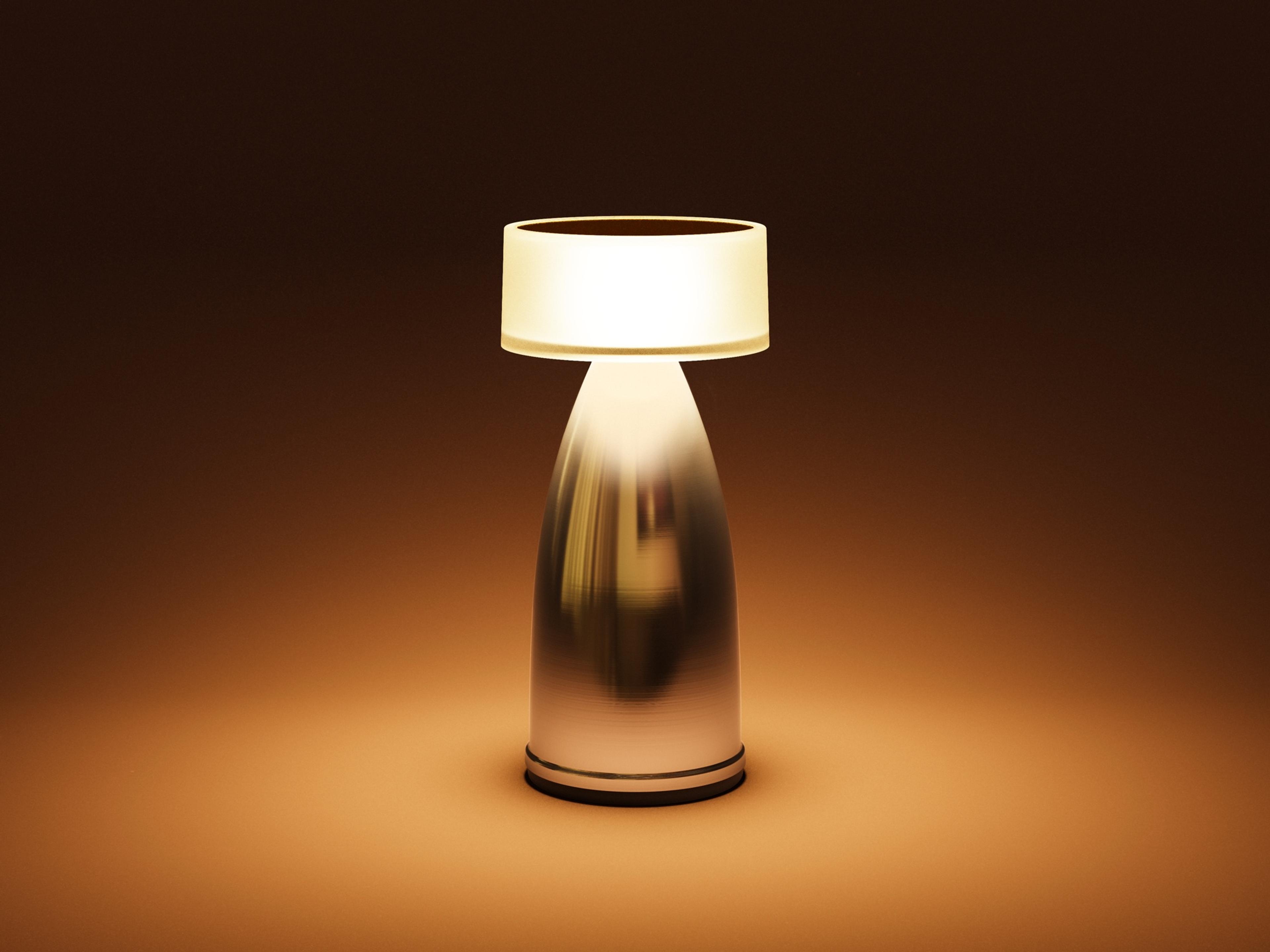 Owl — Owl 1 / Stainless Steel / N1 / Warm White (2600K)