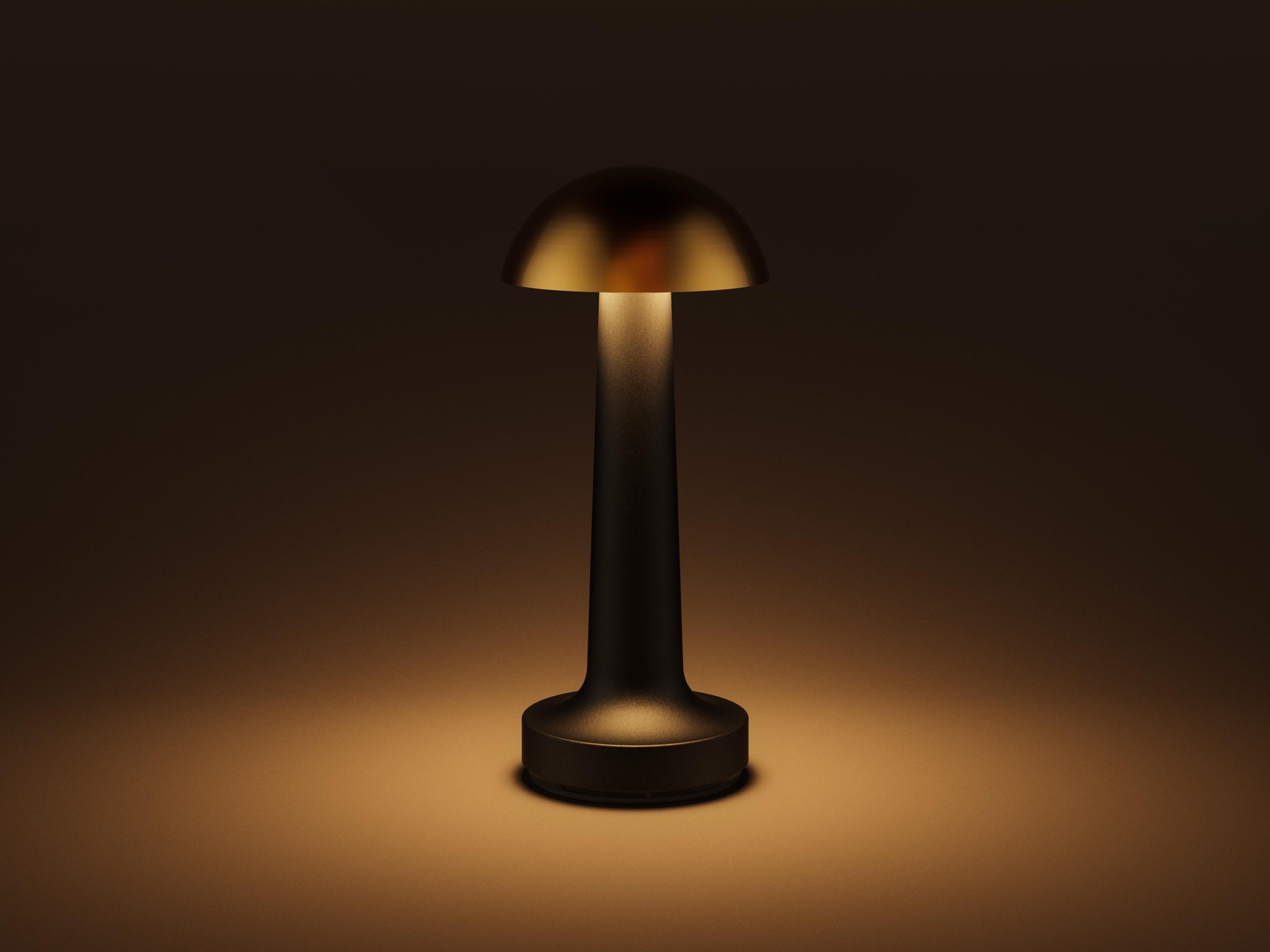 Cooee — Cooee 1c / Sandblasted Black / Warm White (2600K)