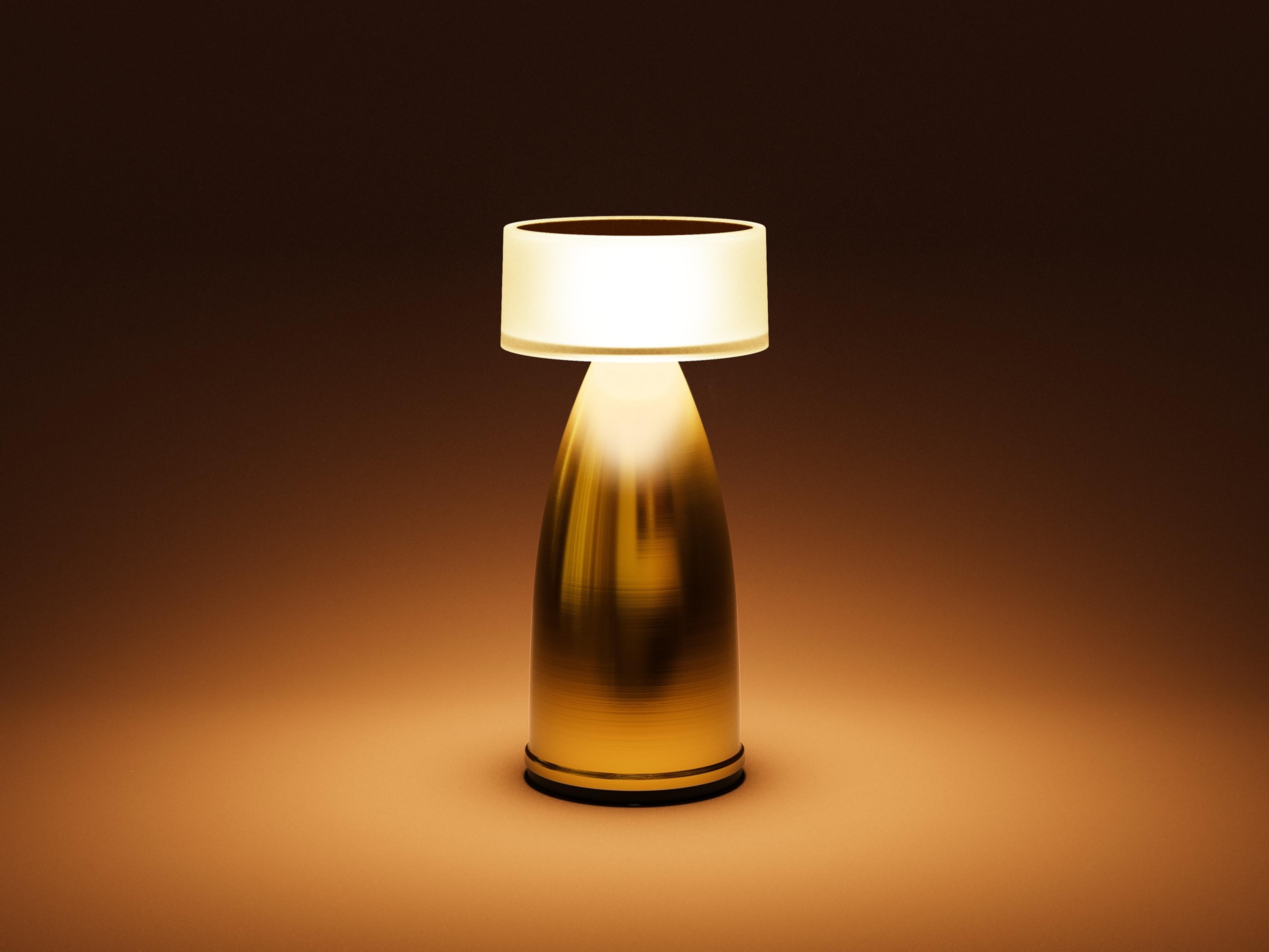 Owl — Owl 1 / Stainless Steel / N1 / Warm White (2600K)