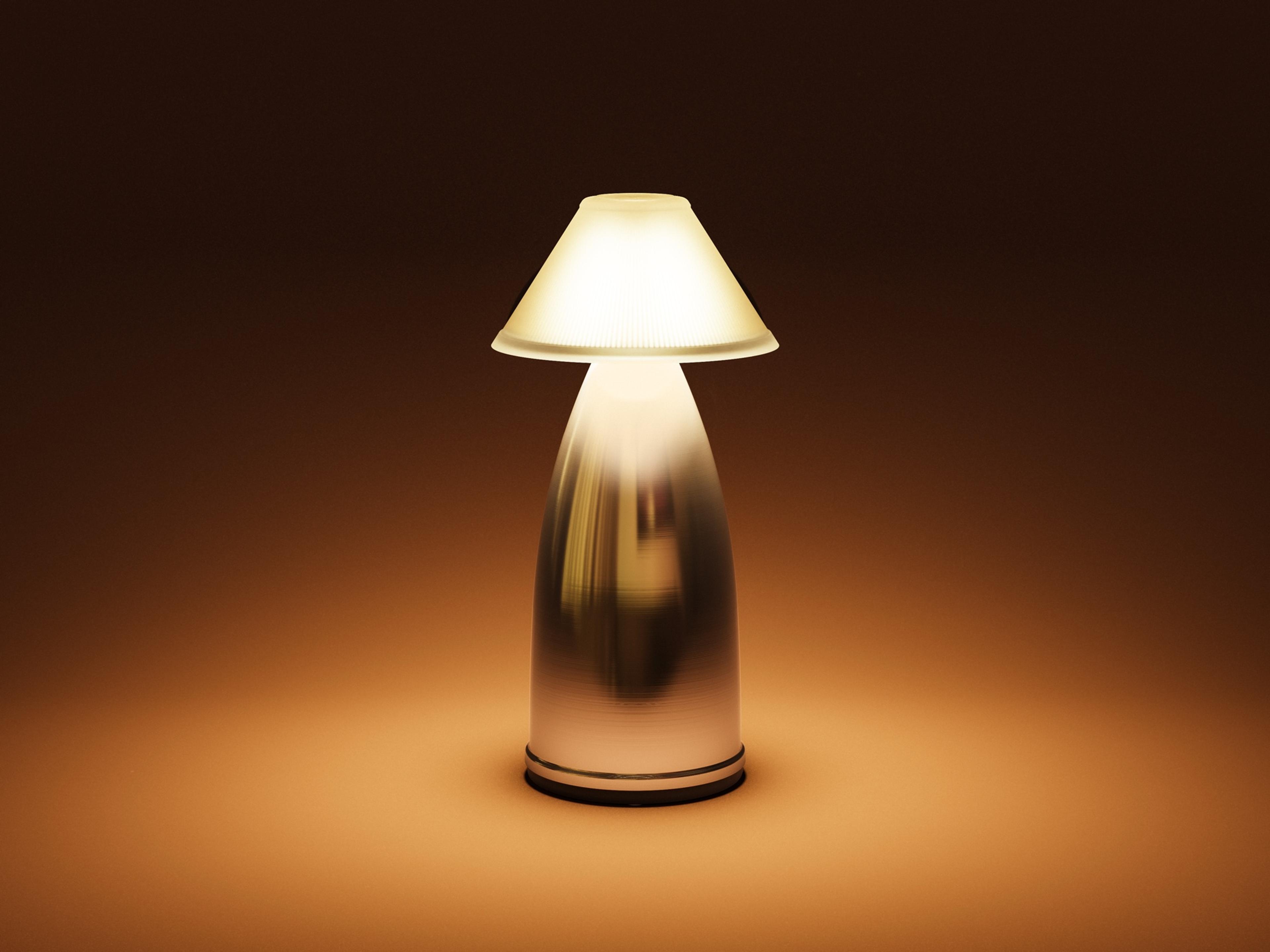 Owl — Owl 1 / Stainless Steel / N1 / Warm White (2600K)