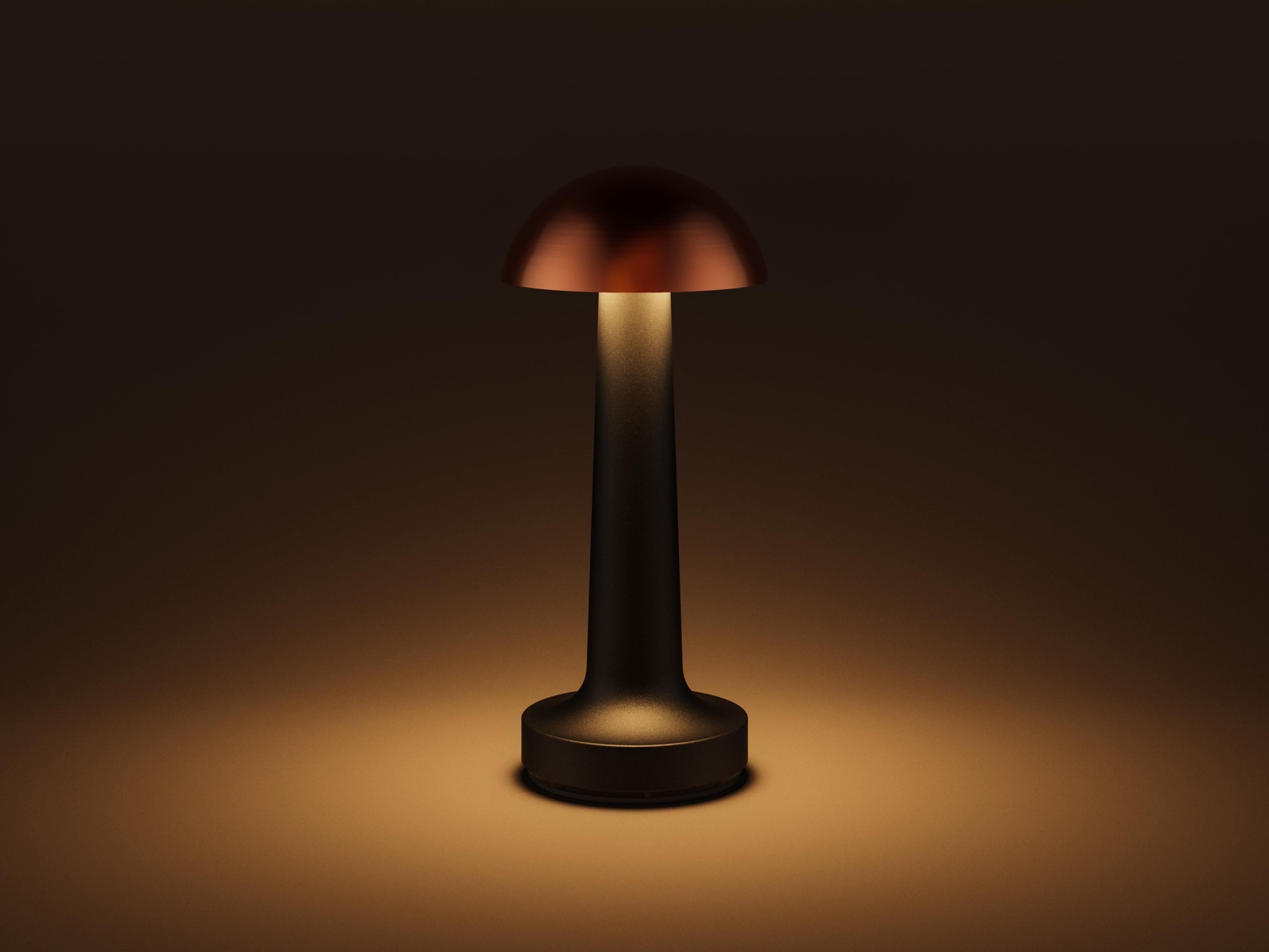 Cooee — Cooee 1c / Sandblasted Black / Warm White (2600K)