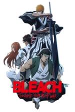 Bleach: Thousand-Year Blood War Season 2 | Ranime