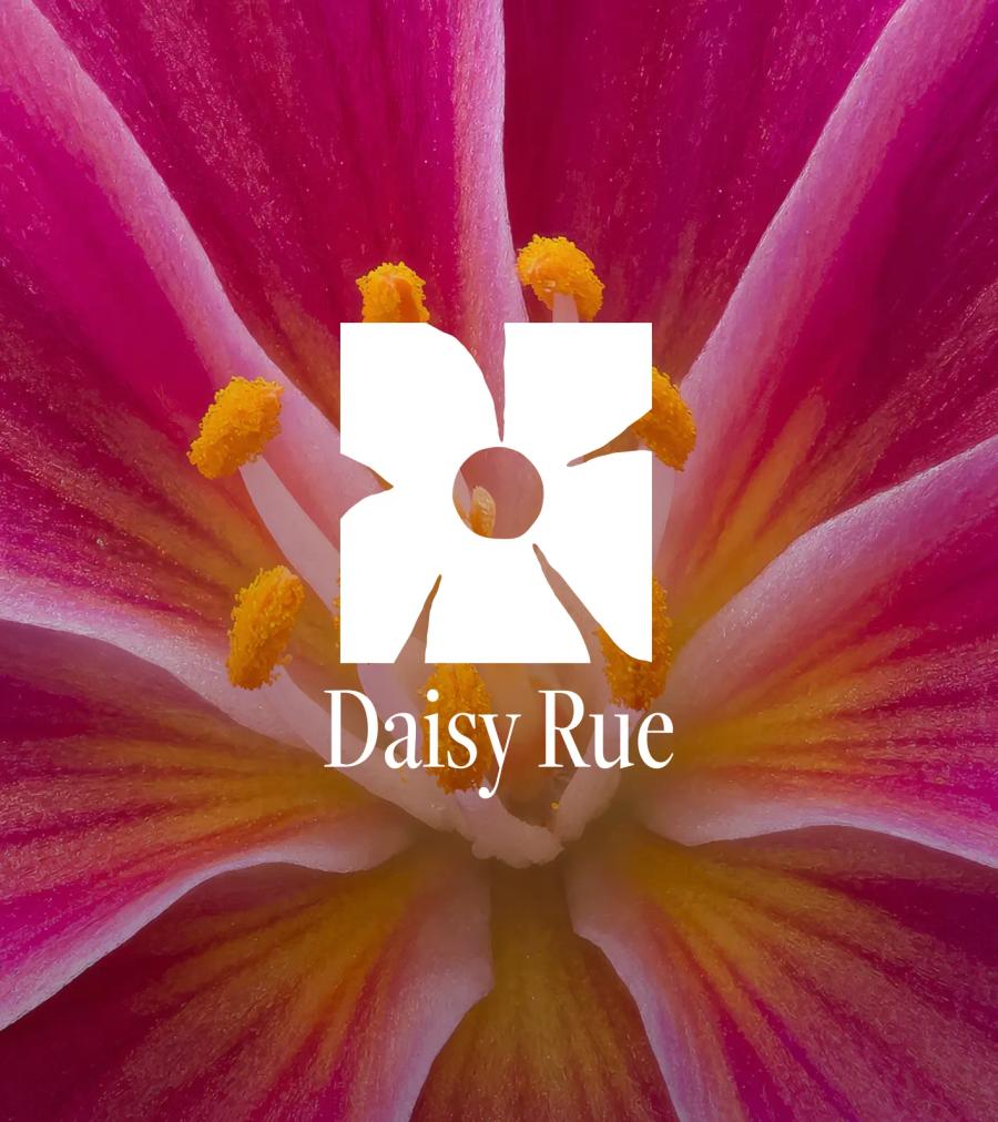 Daisy Rue — naming, identity and storefront for a womenswear label