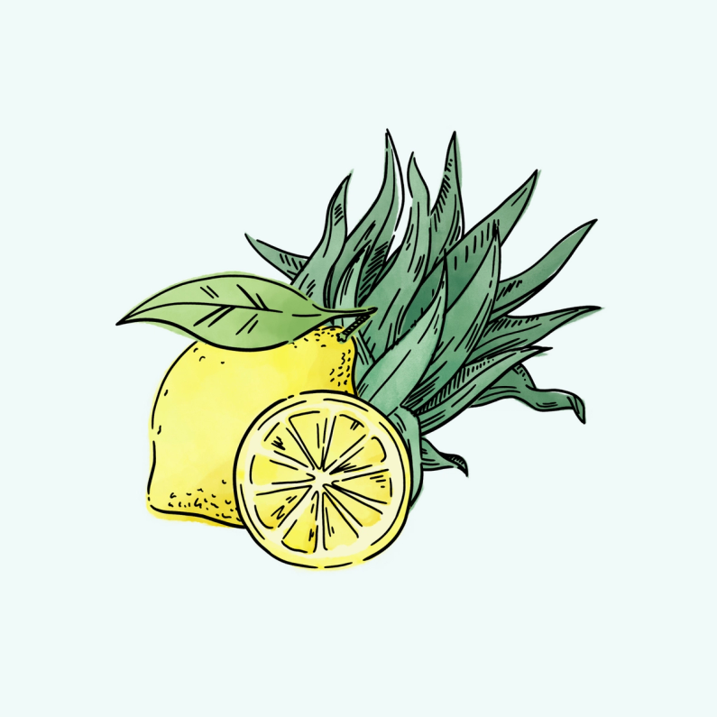 Betty's Eddies lemon illustration
