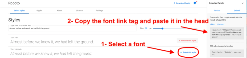 Add fonts from Google Fonts