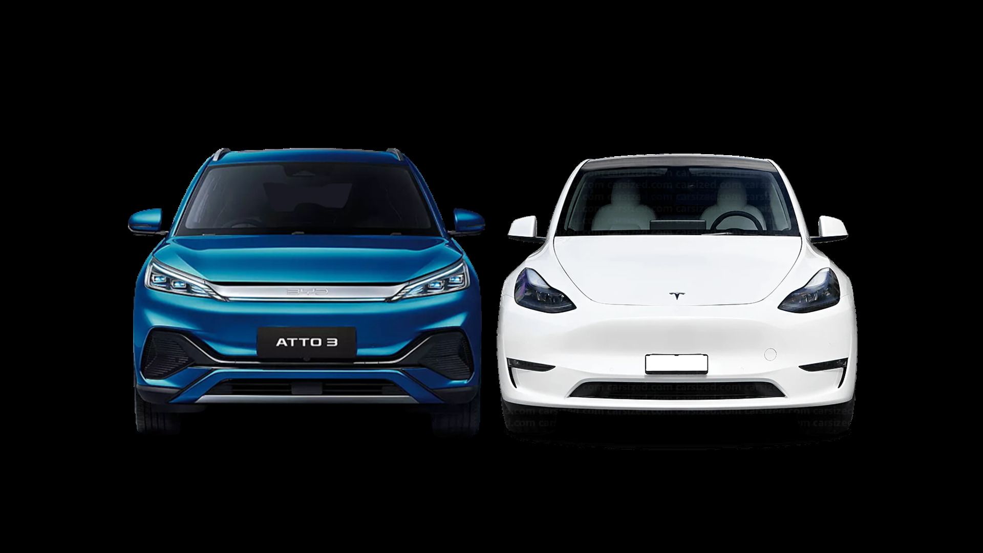 Tesla Model Y vs BYD Atto 3 side-by-side front