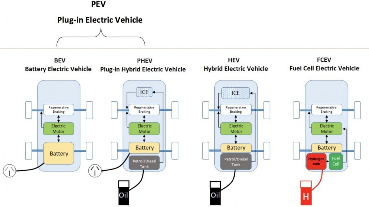 Introduction to Electric Vehicles: BEV vs PHEV vs HEV | Zecar ...