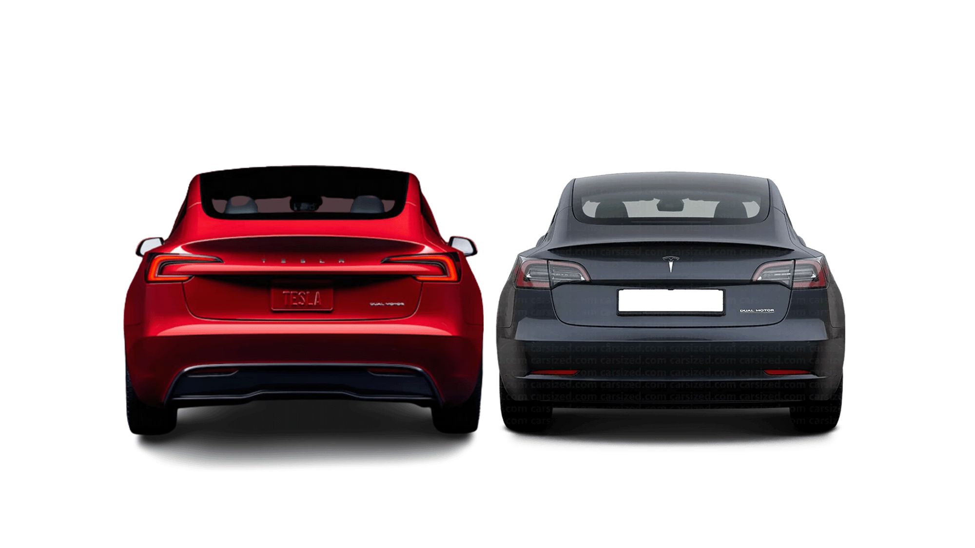 Tesla model 3 vs model Y : le comparatif des deux Tesla (2023) 