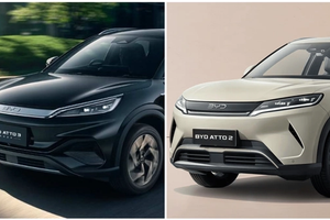 zecar image