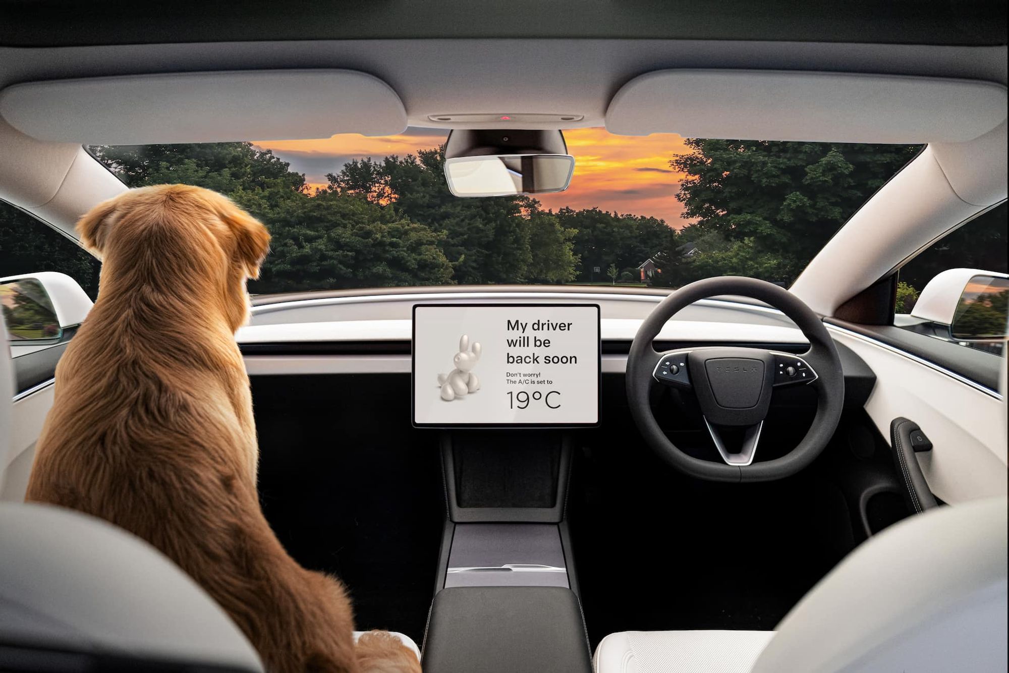 Tesla Model Y: interior, dashboard & infotainment
