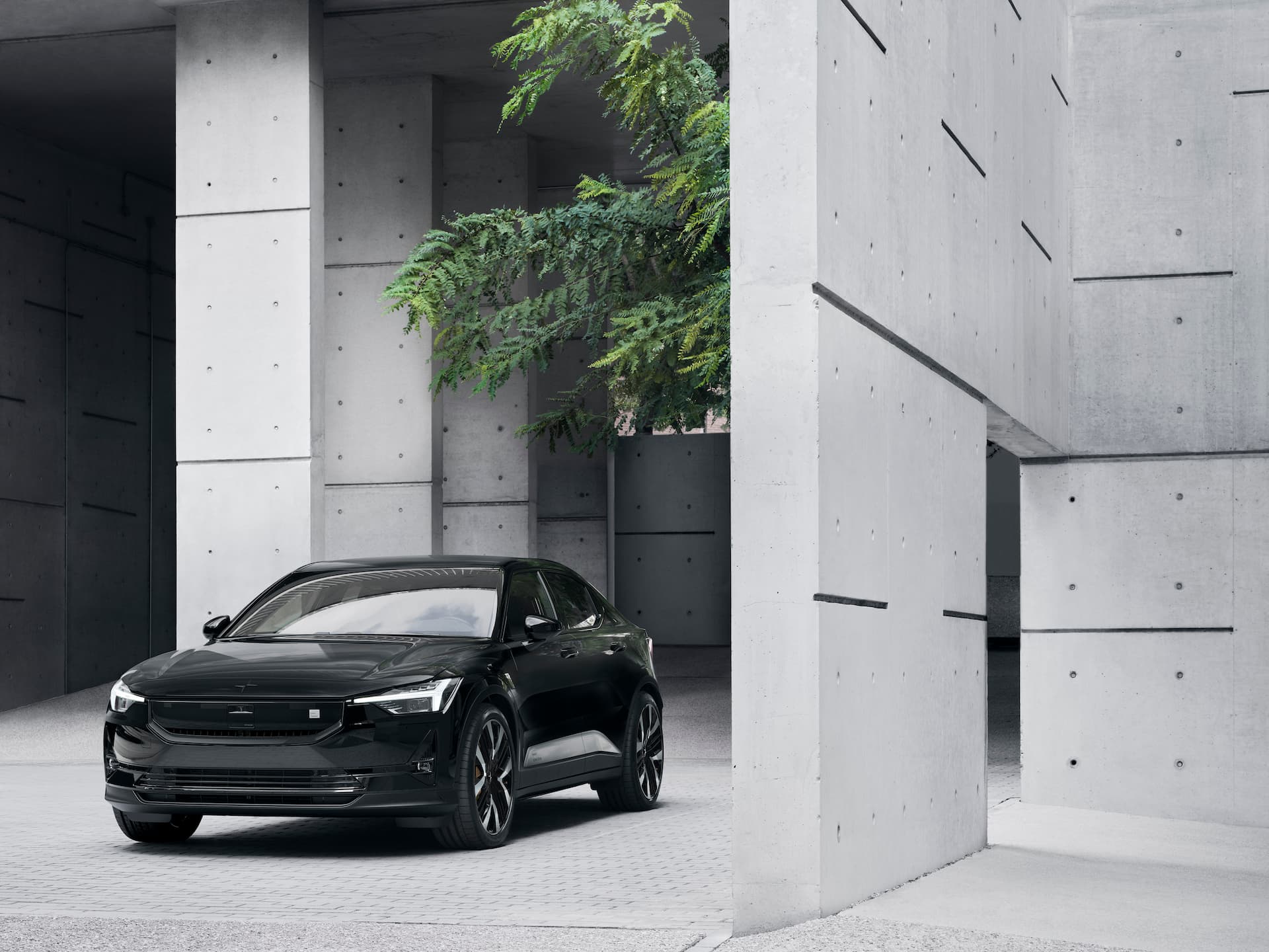 Black 2024 Polestar 2 in front of concrete and tree