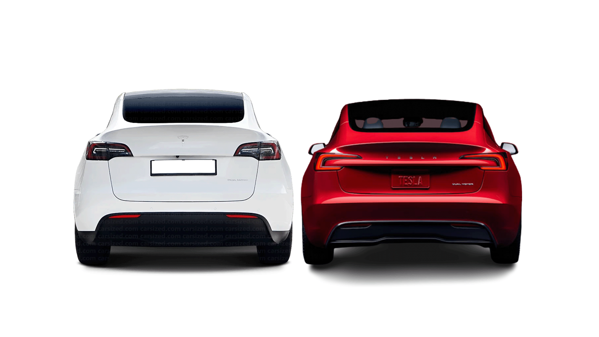 2024 Tesla Model 3 vs. Model Y: Size and Spec comparison