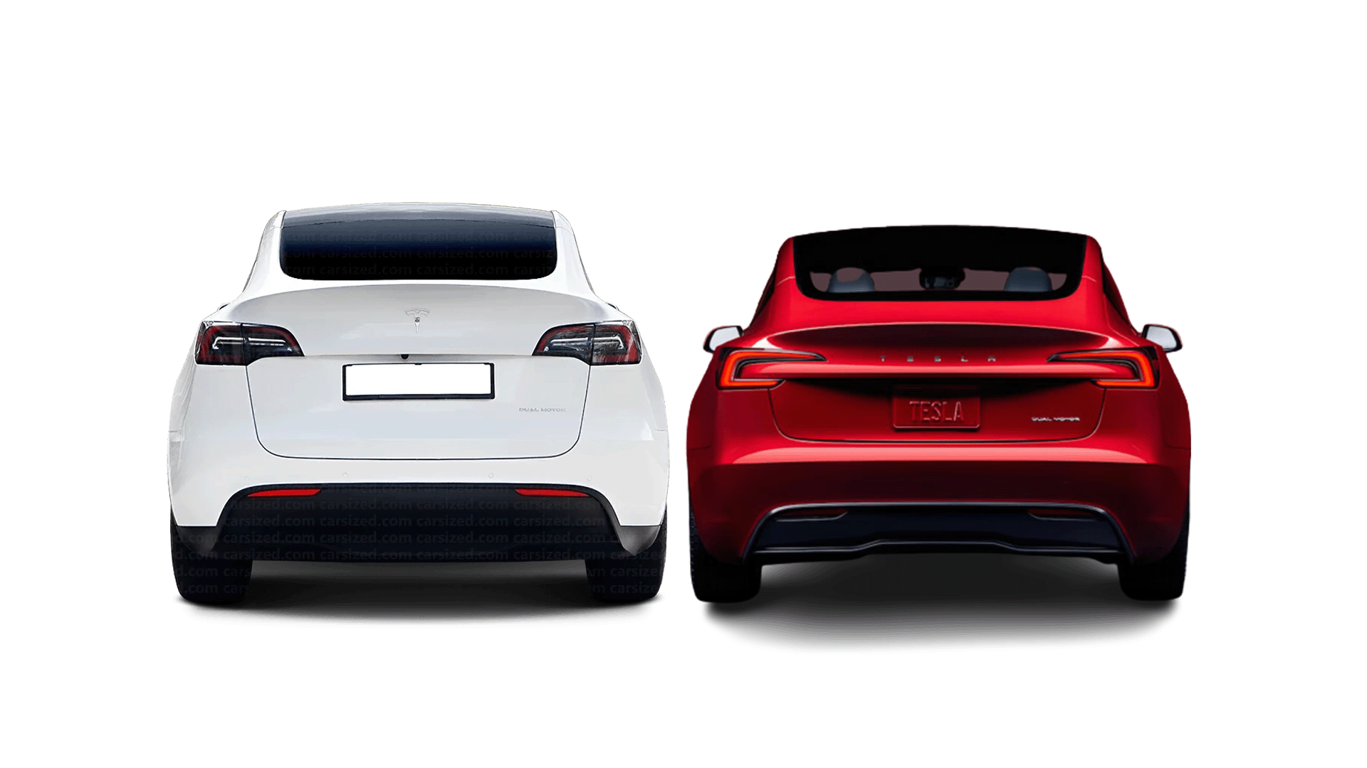 Tesla Model Y vs 2024 Tesla Model 3 rear