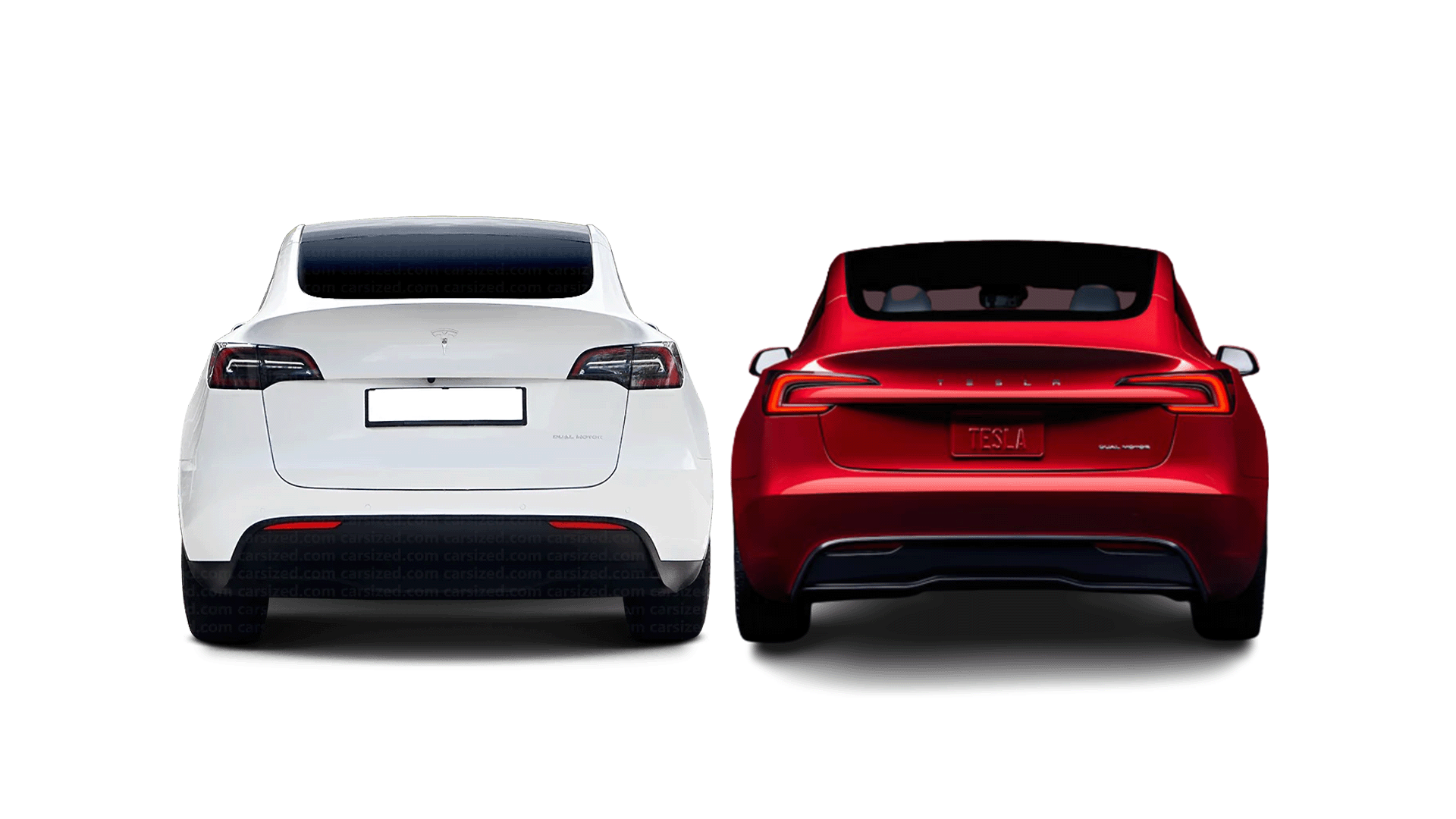 Tesla Model 3 vs Model Y: What's the Difference?