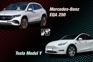 zecar image